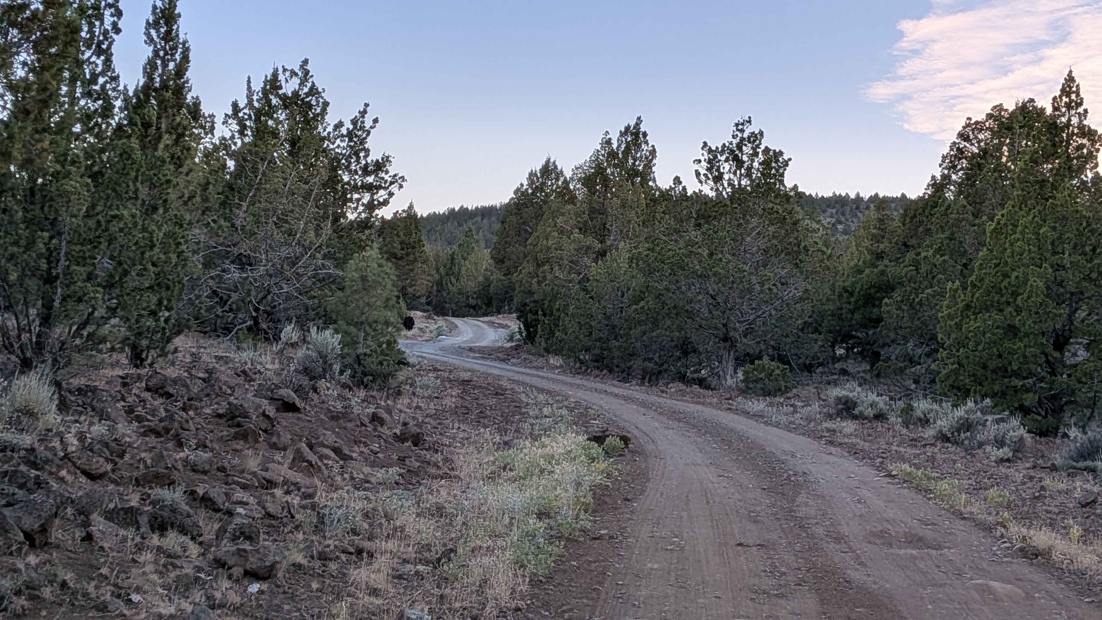 Mount Lively South Fork Mountain Road