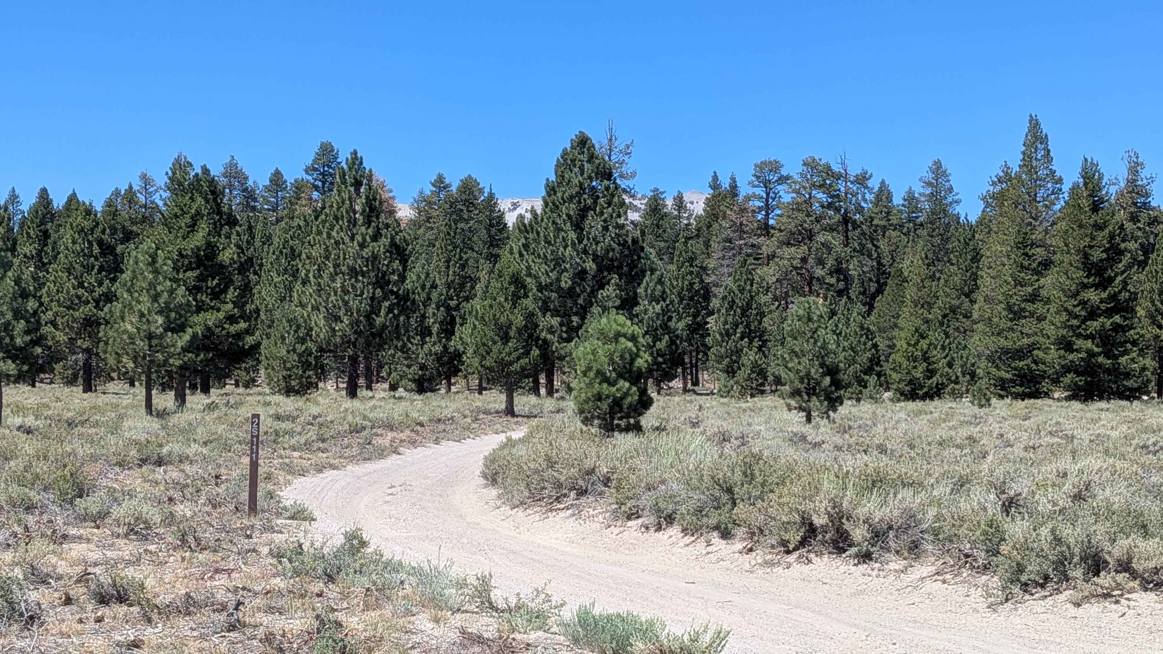 Forest Service Road 2S2111