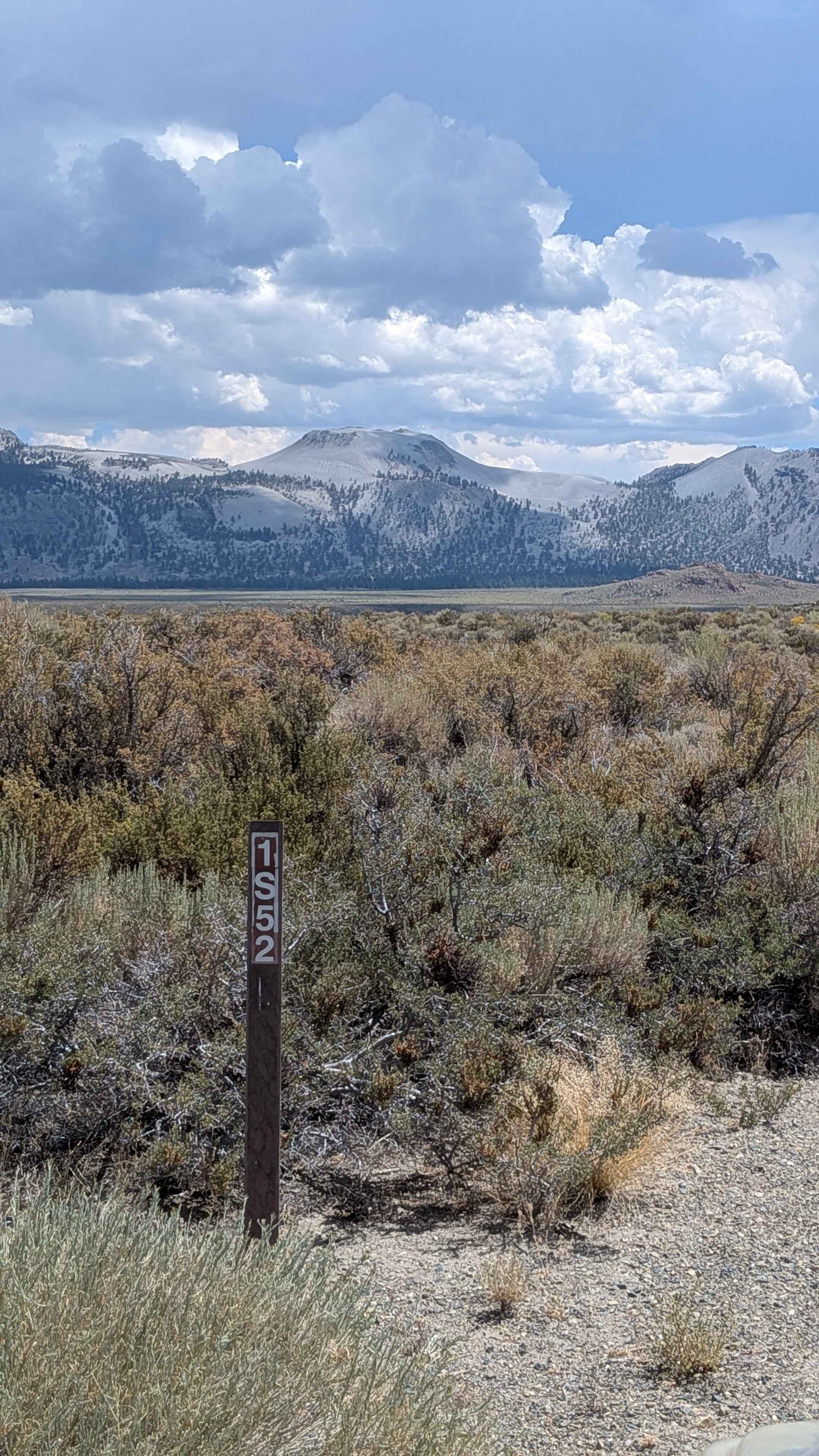 Forest Service Road 1S52