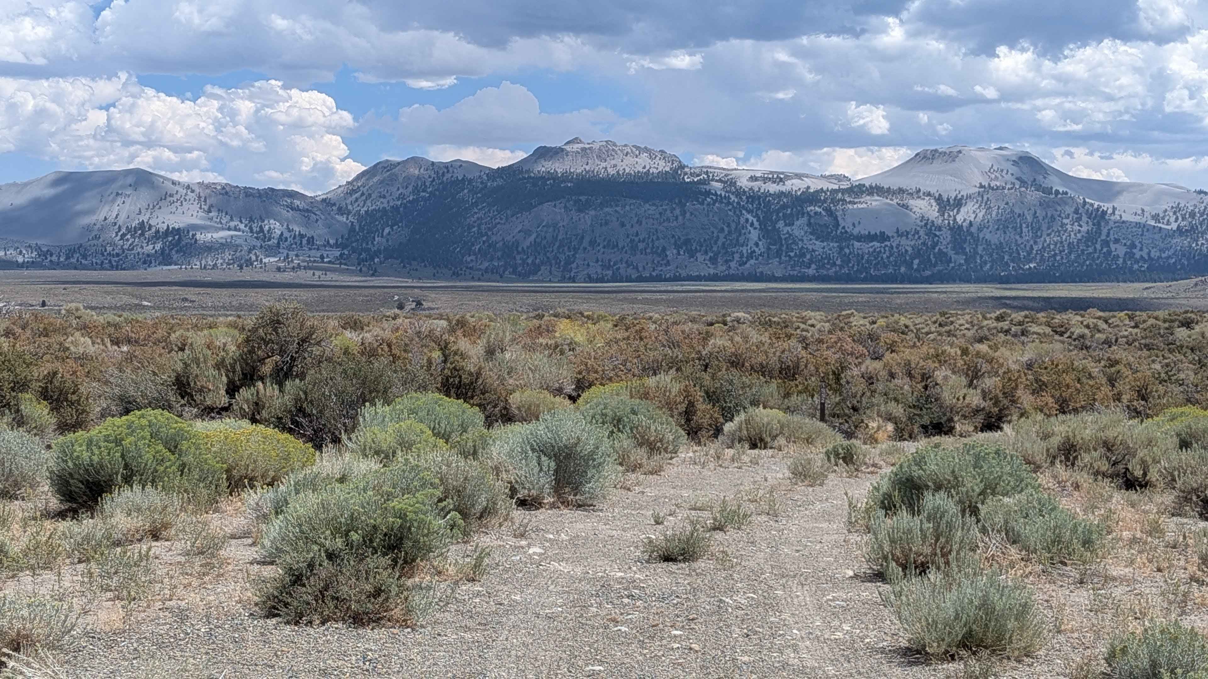 Forest Service Road 1S52