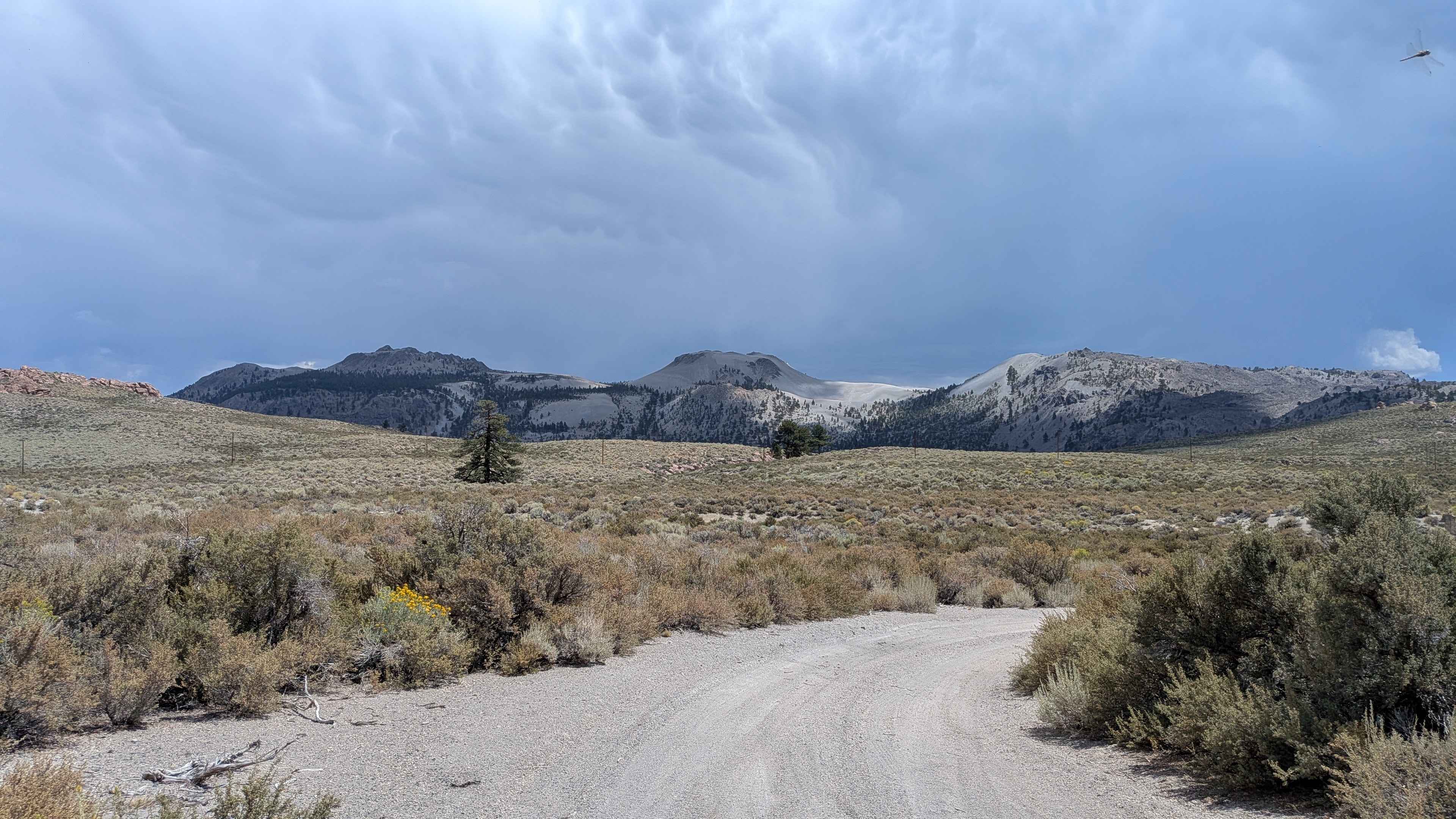 Punch Bowl - FS 1S38