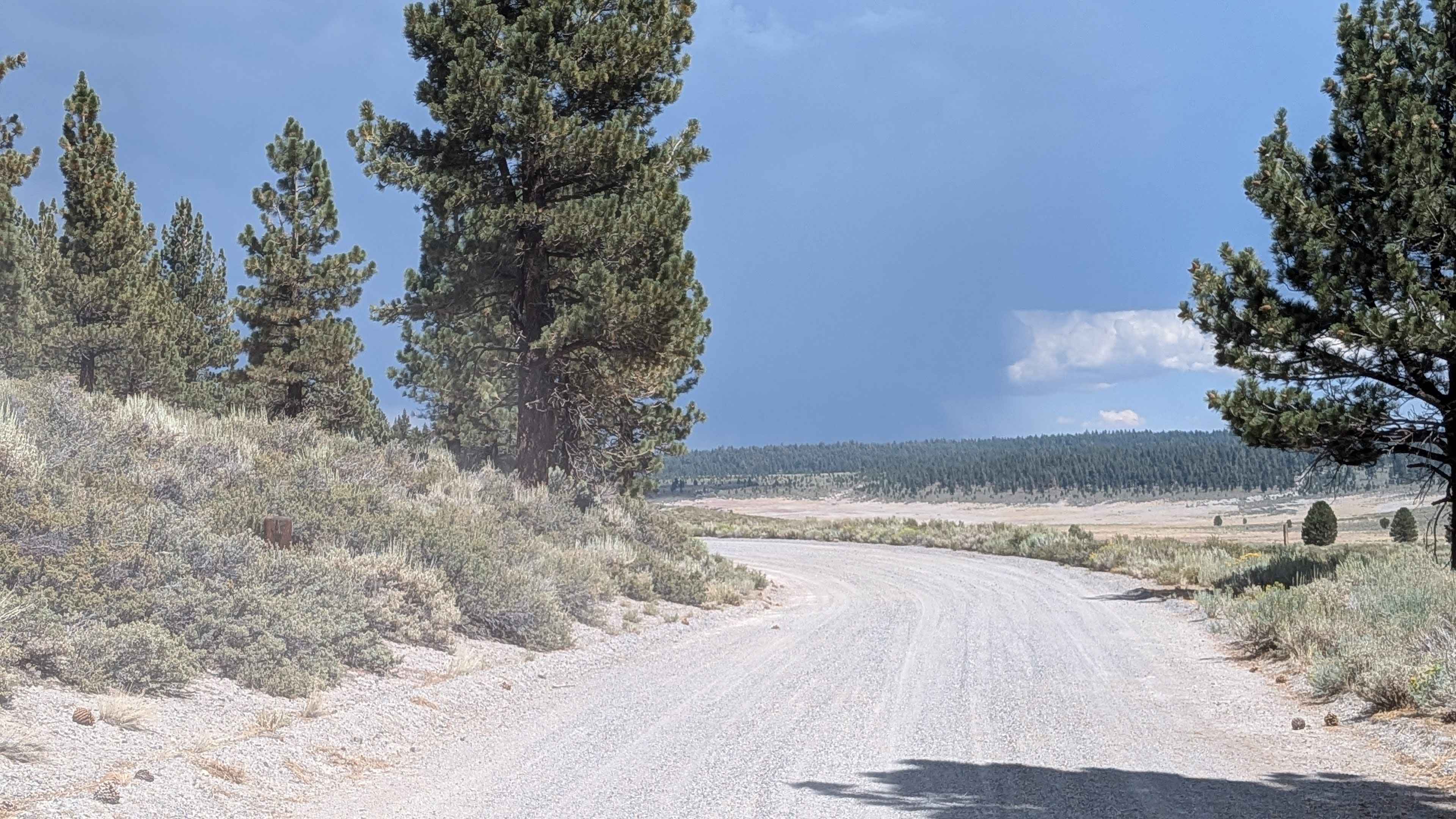 Pumice Mine Road - FS 1S40