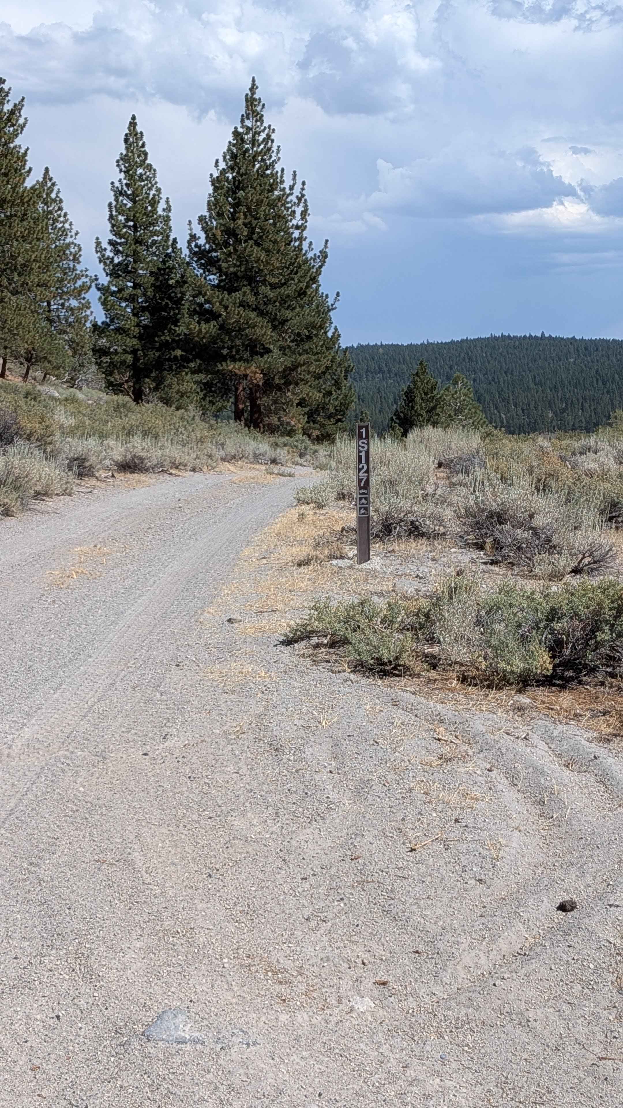 Forest Service Road 1S127