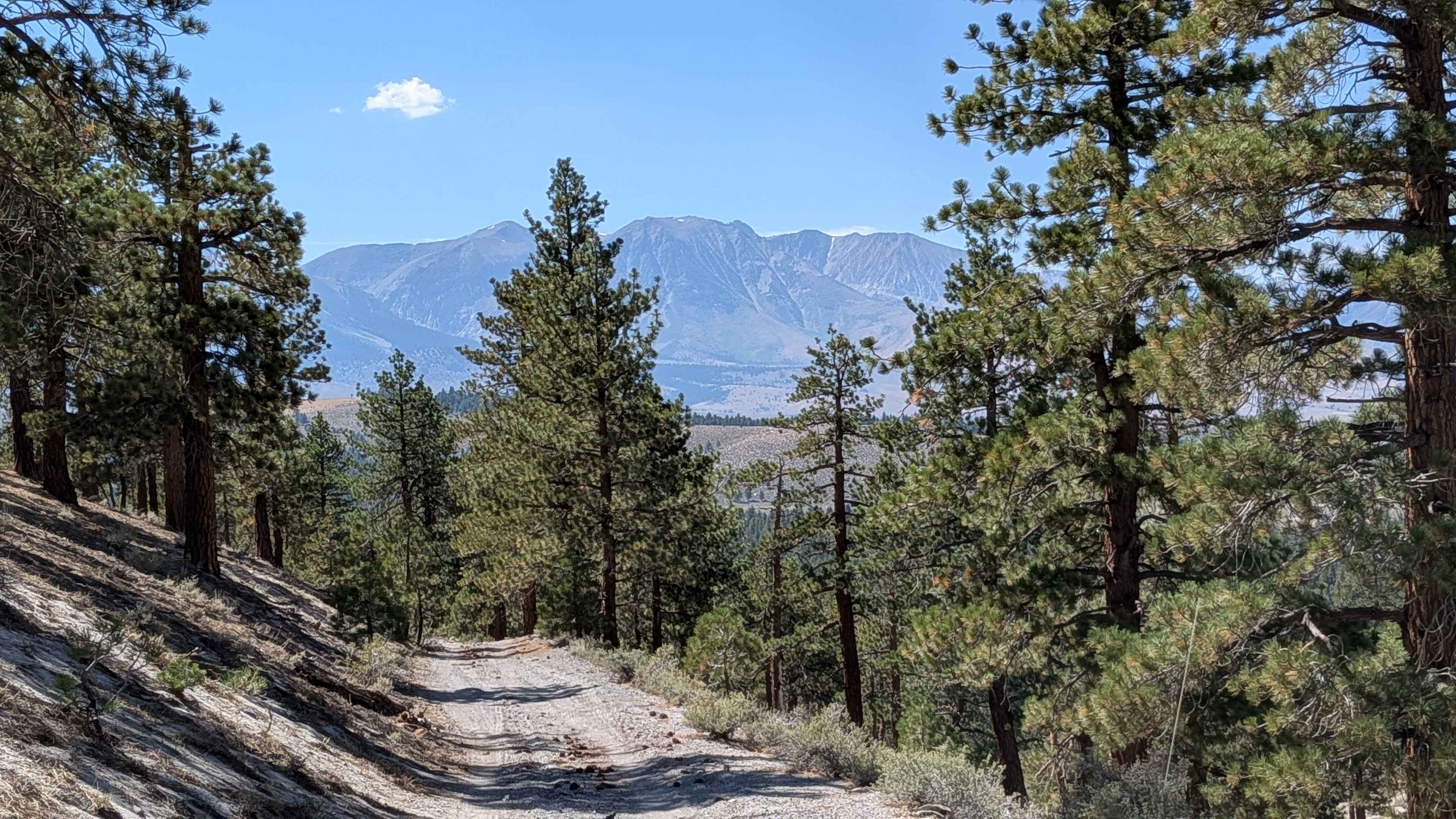 Forest Service Road 1S127