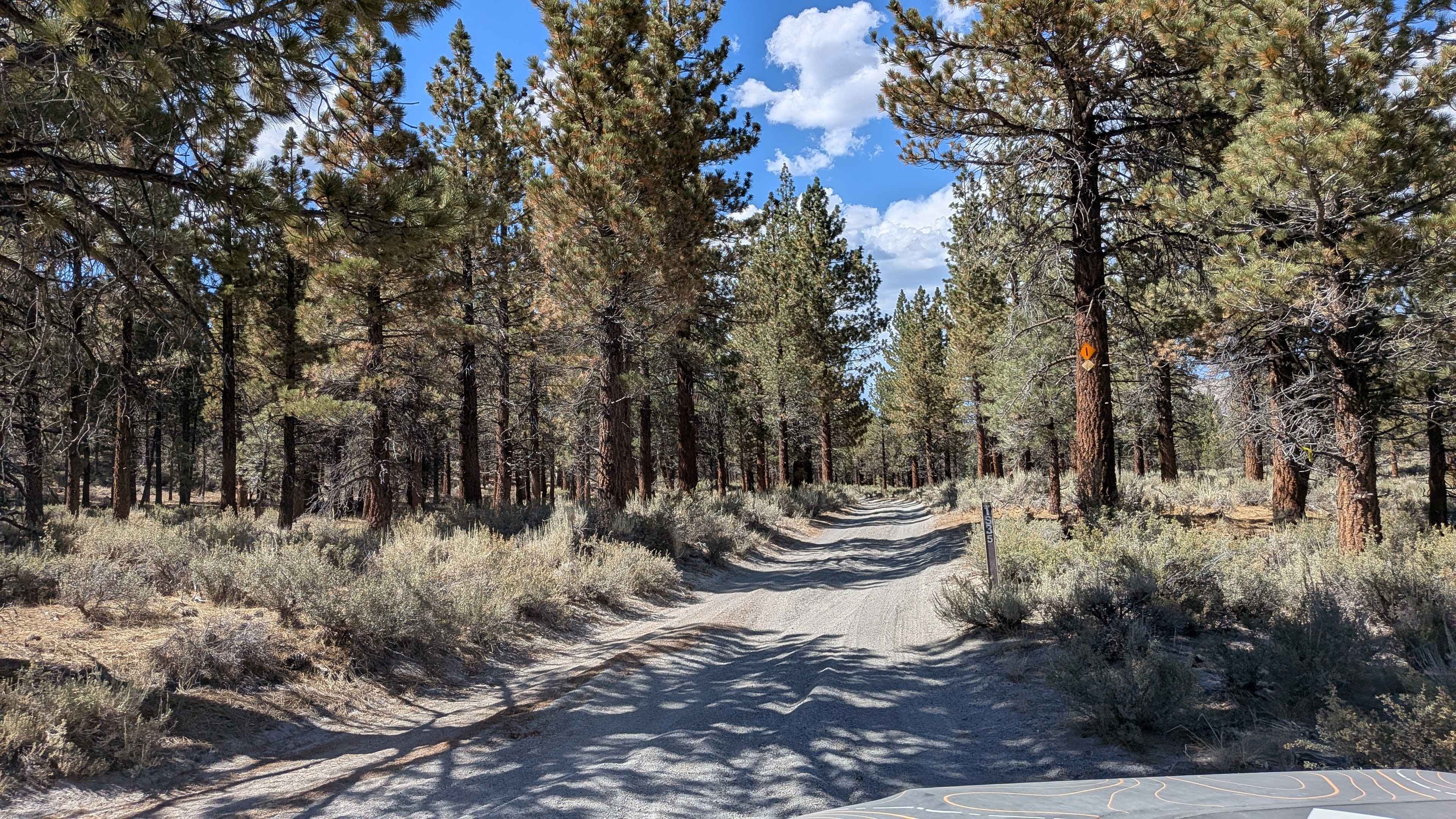 Punch Bowl Cutoff - FS 1S35