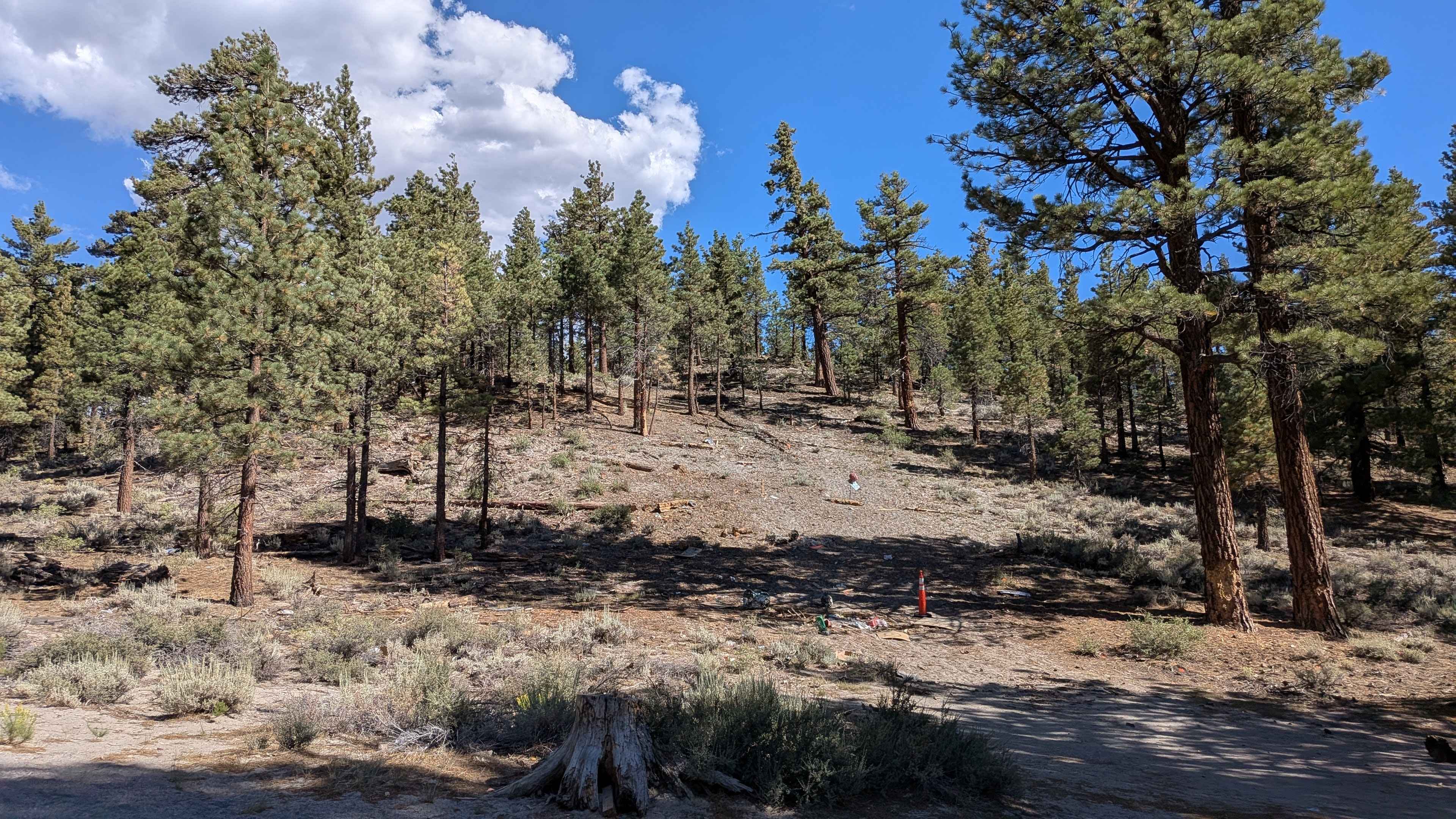 Forest Service Road 3S130