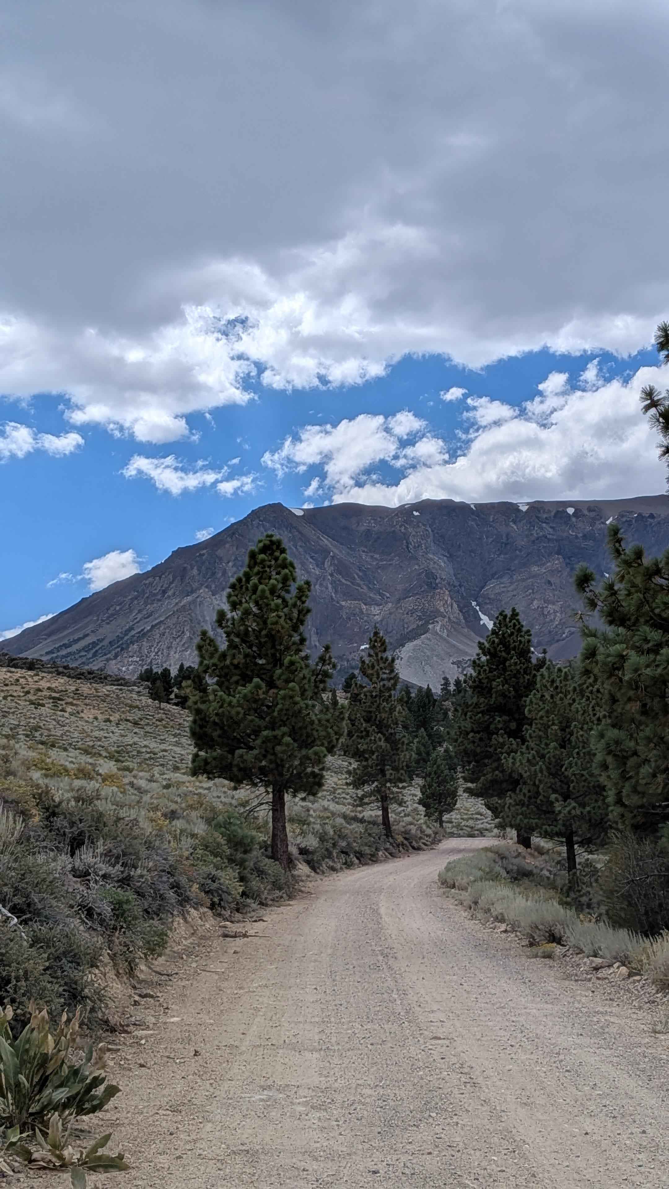 Parker Lake Road - NF1S25