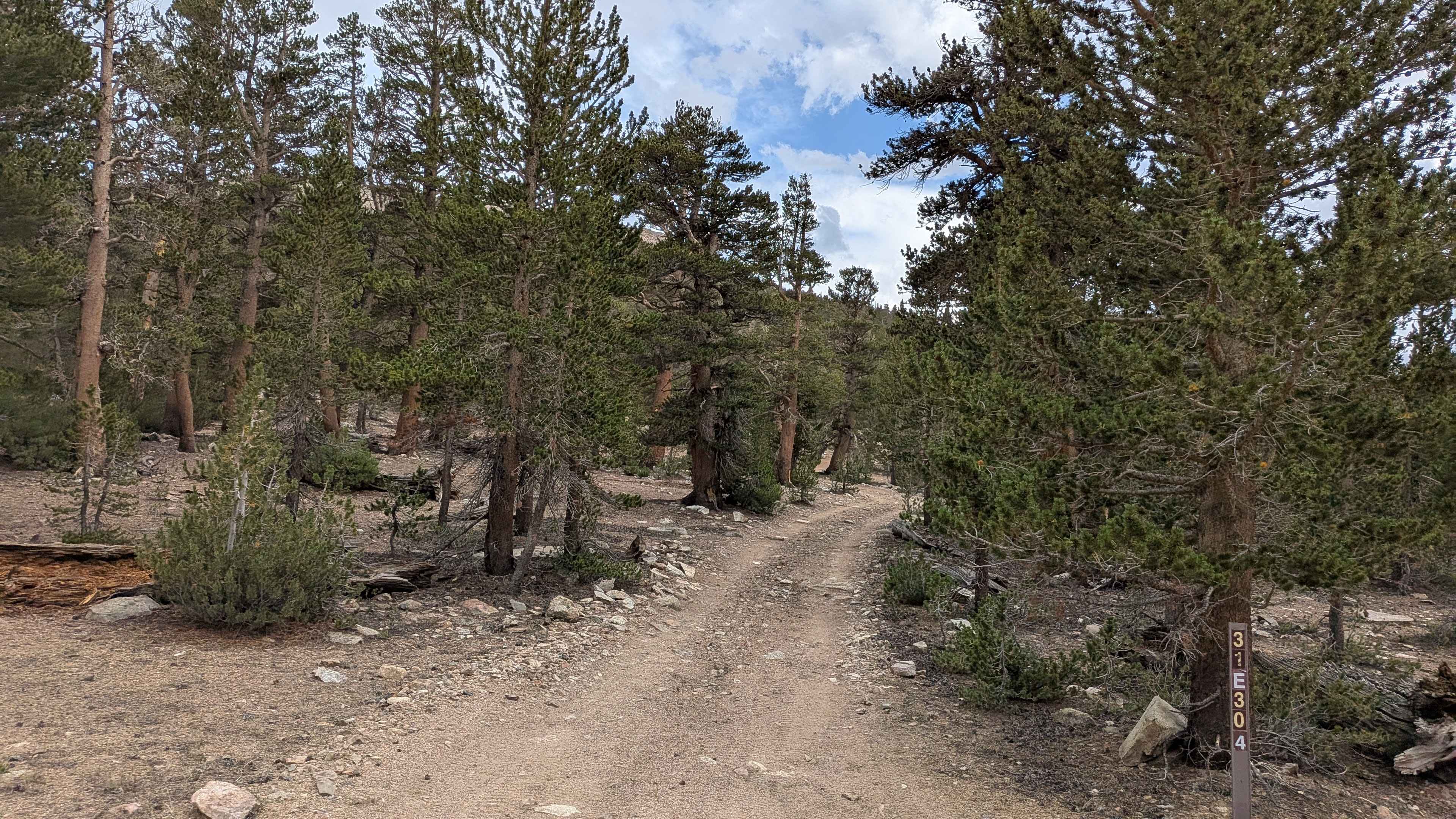 Coyote Lake Trail - FS 31E304