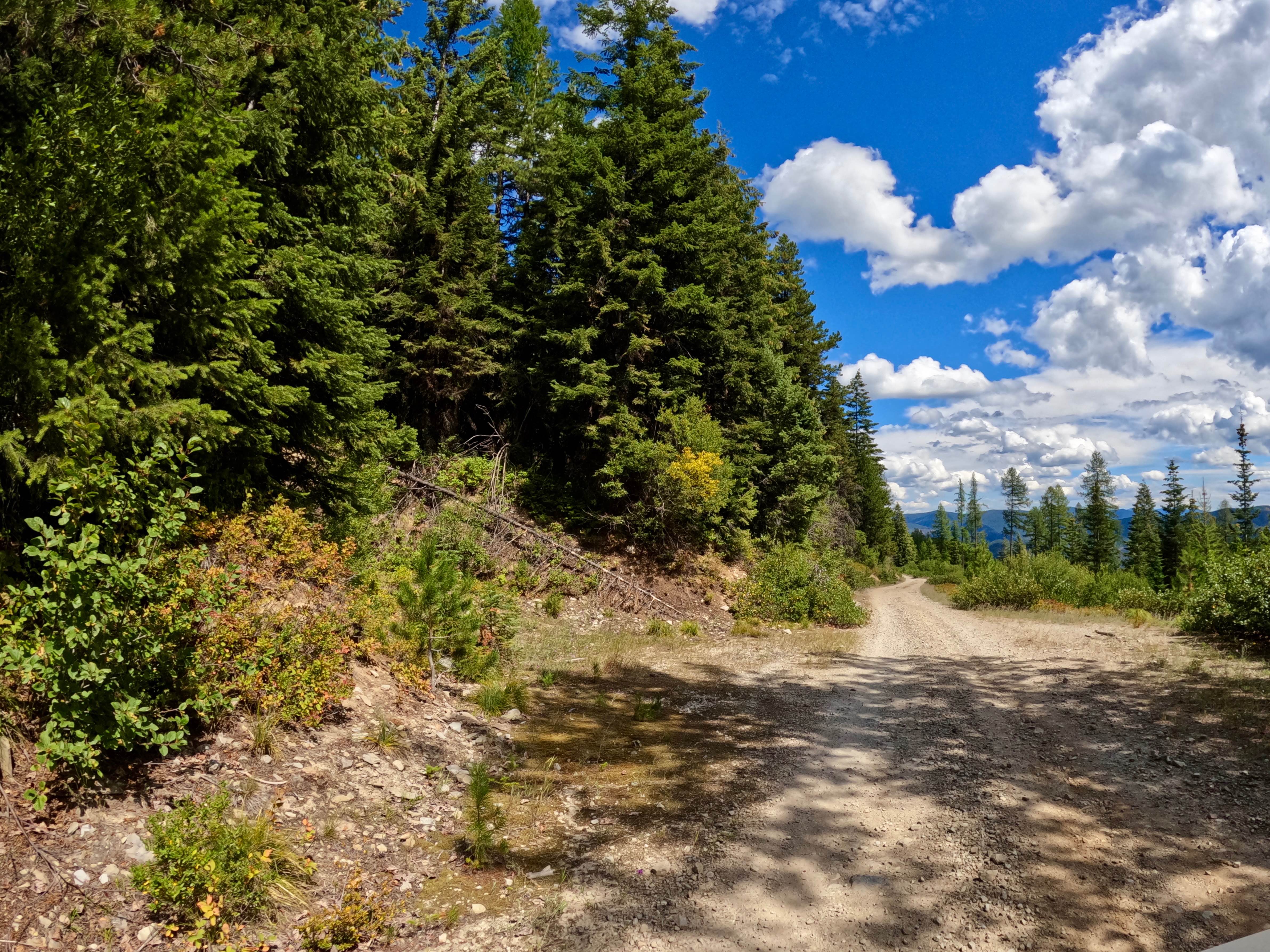 Canyon Creek (3816)-Cromie Creek (236)