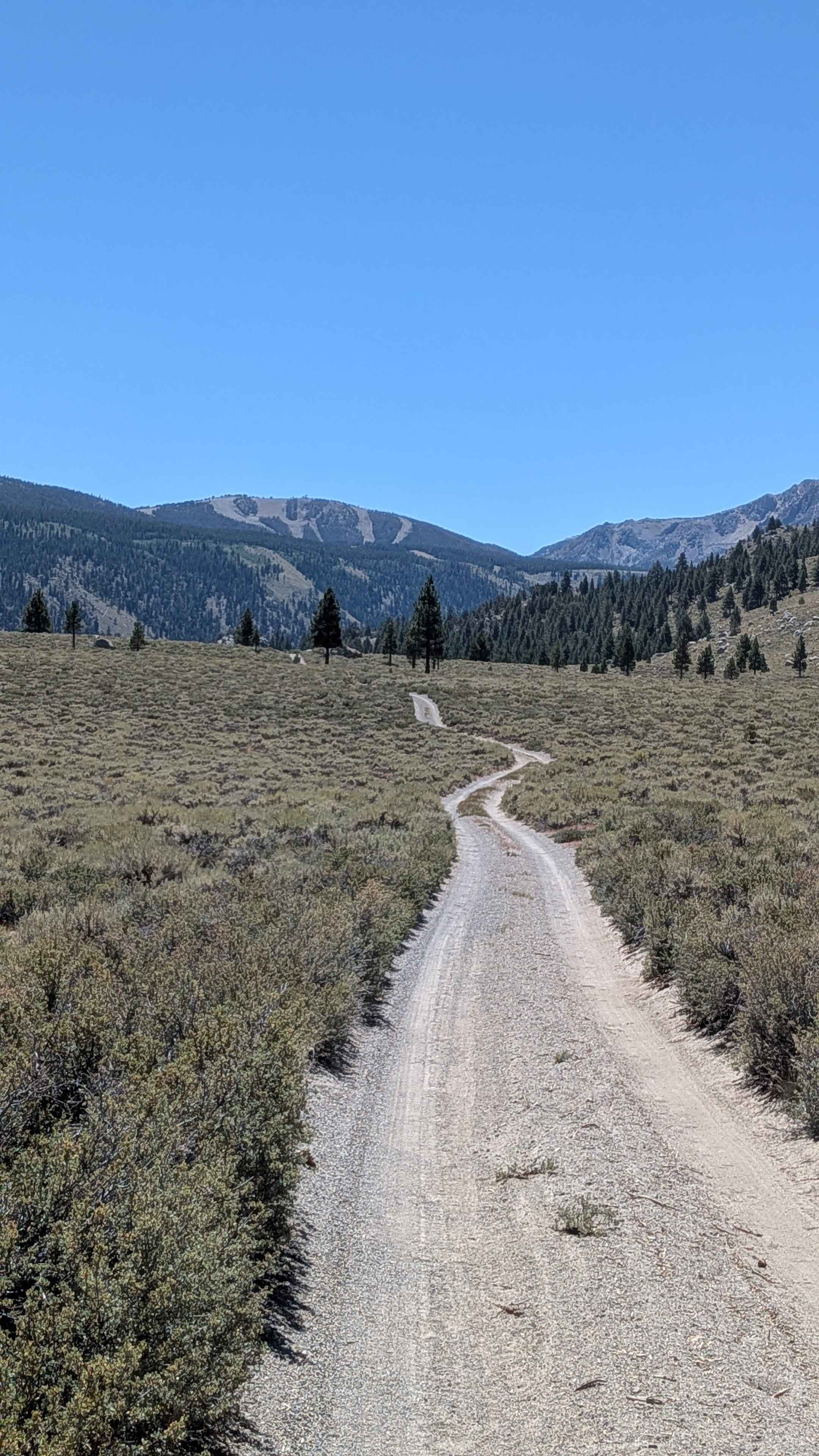 June Lake Shortcut - FS 1S32