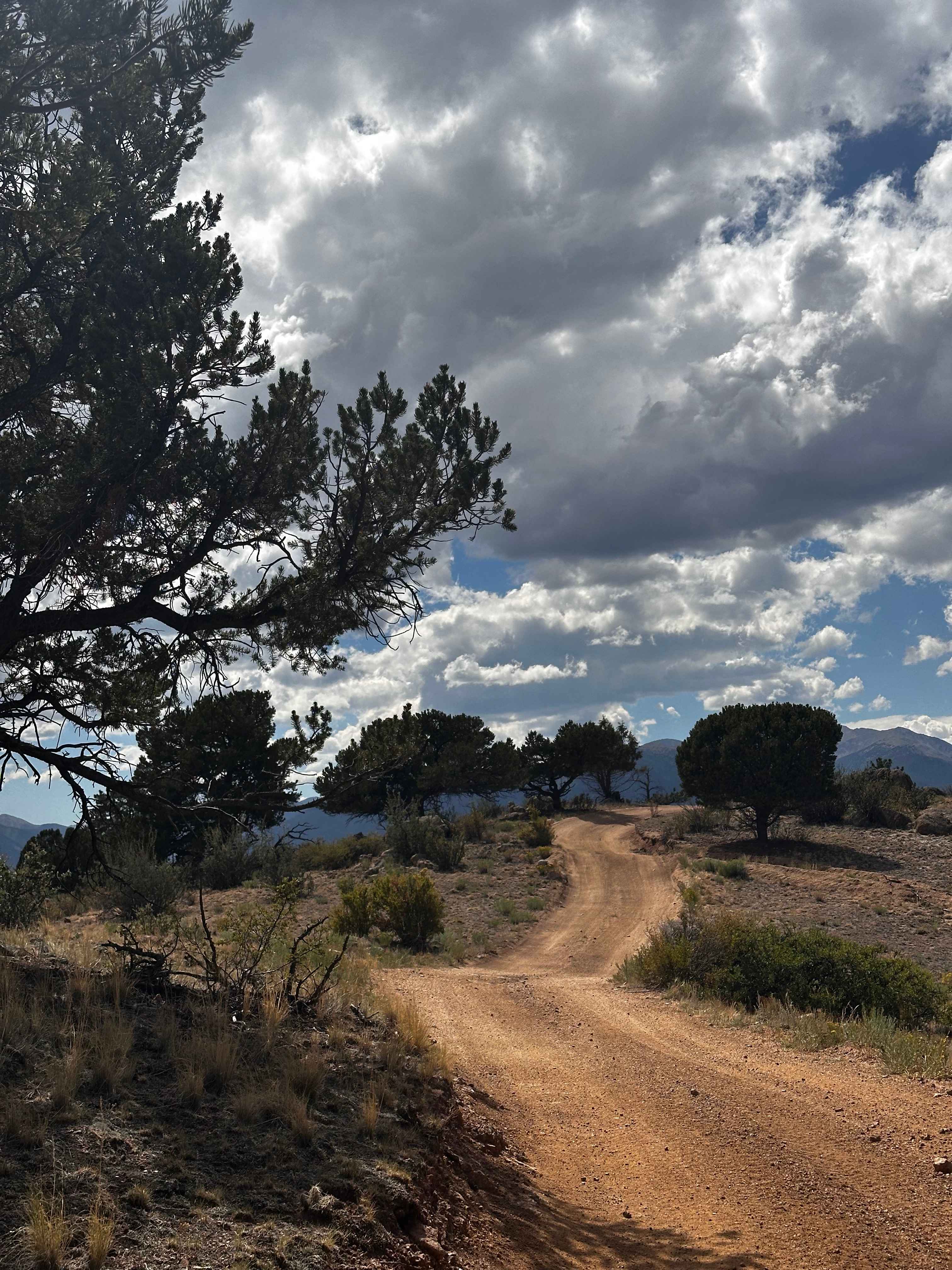 Forest Service Road 376B