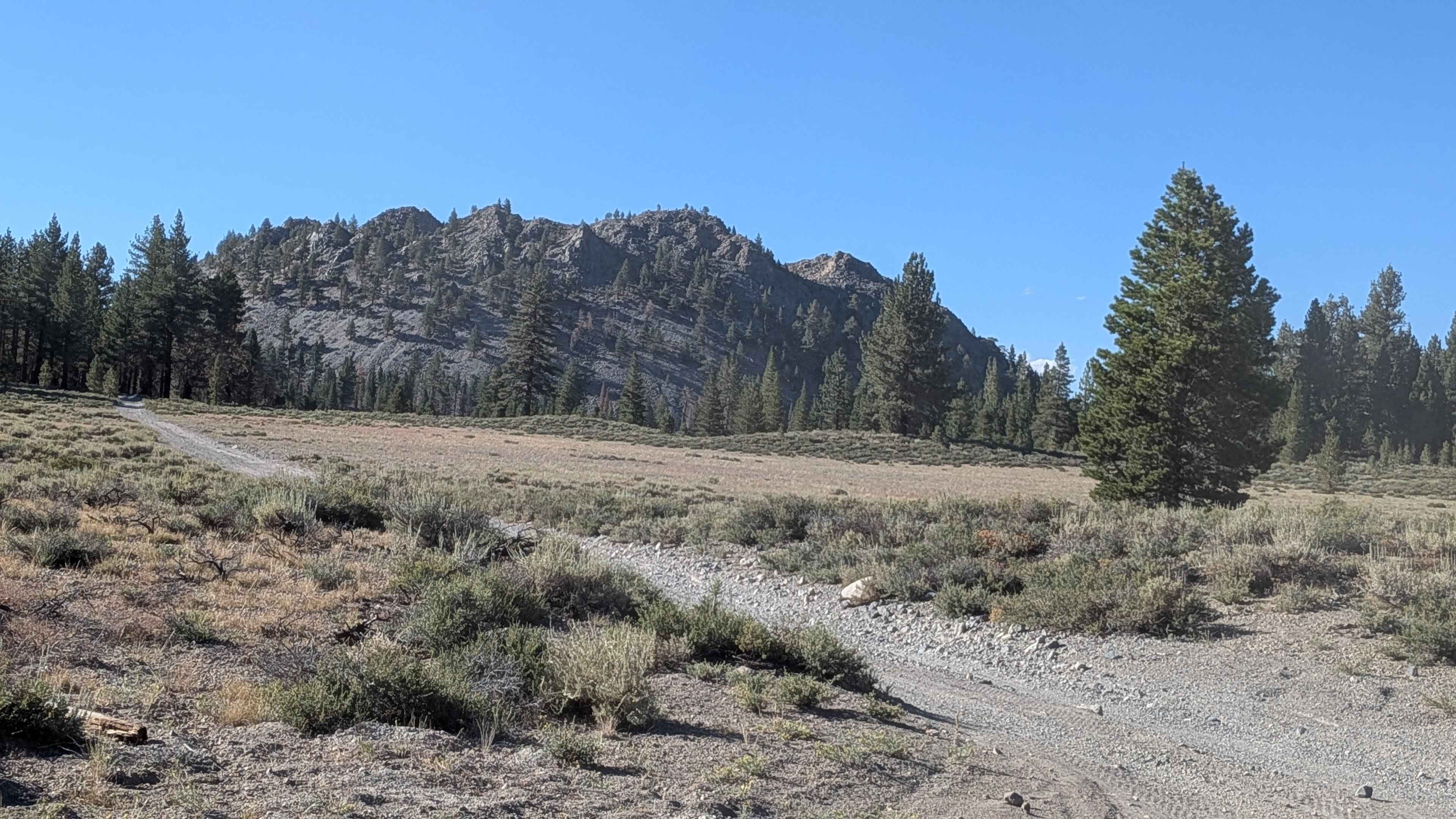 Wilson Butte Loop FS 2S22