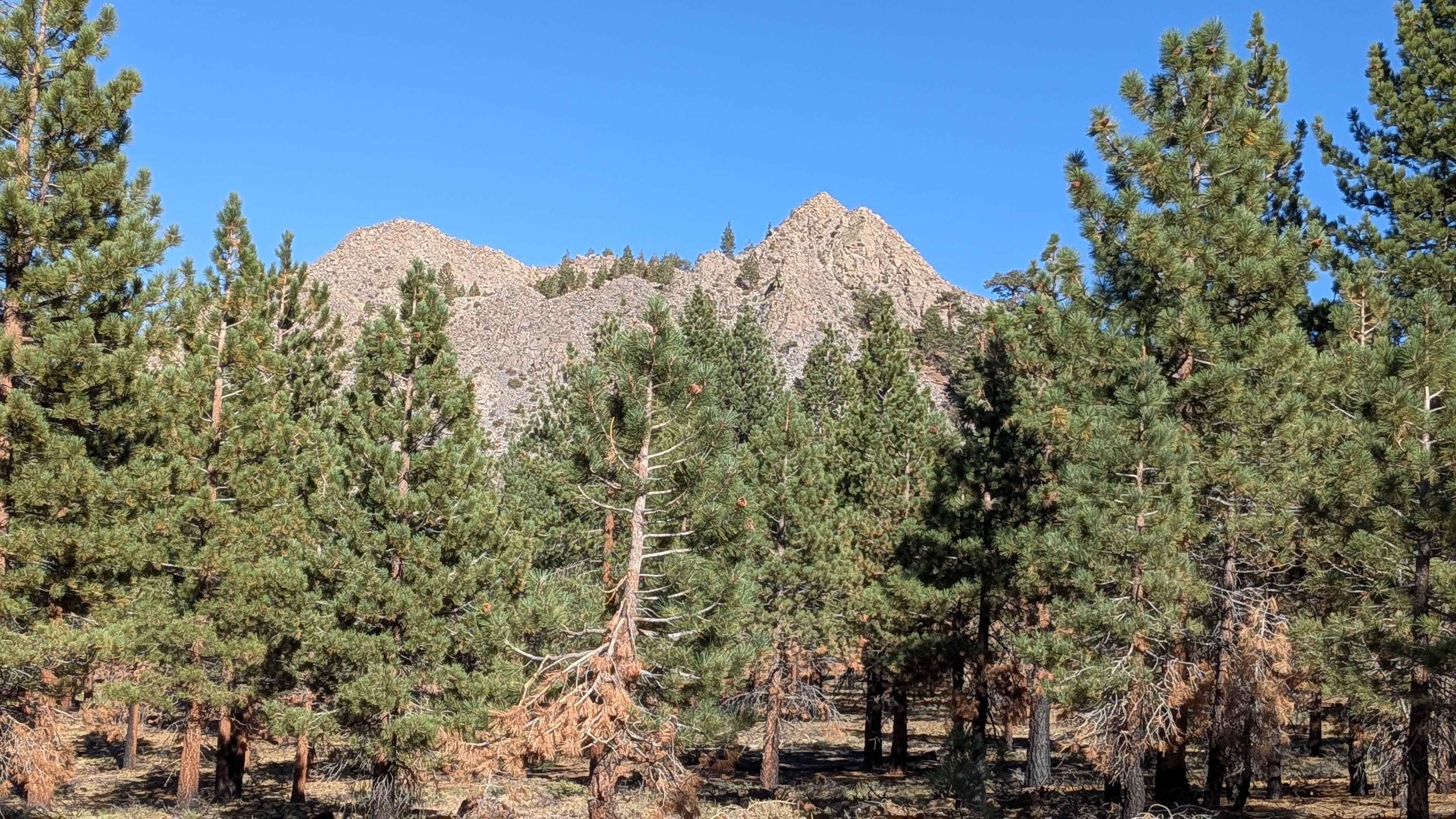 Wilson Butte Loop FS 2S22