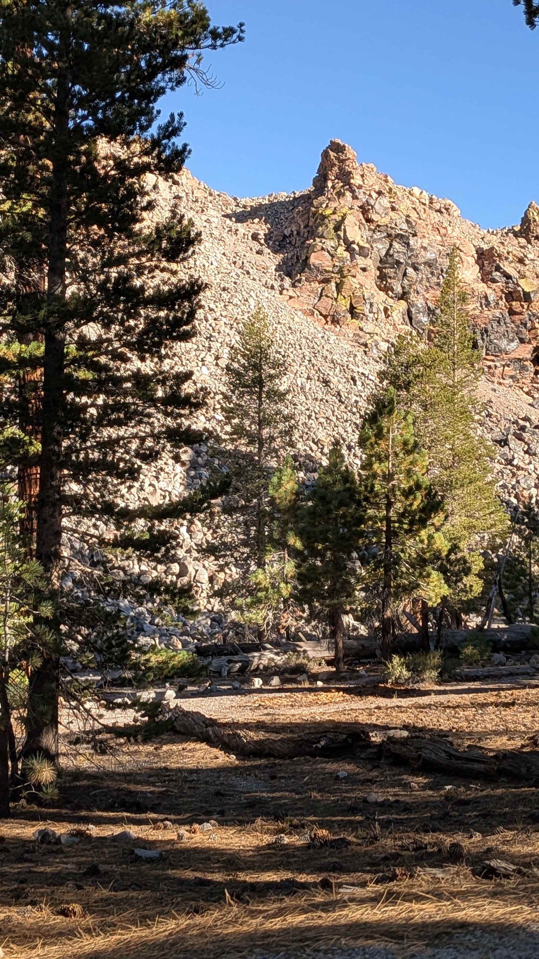 Obsidian Loop FS 2S79