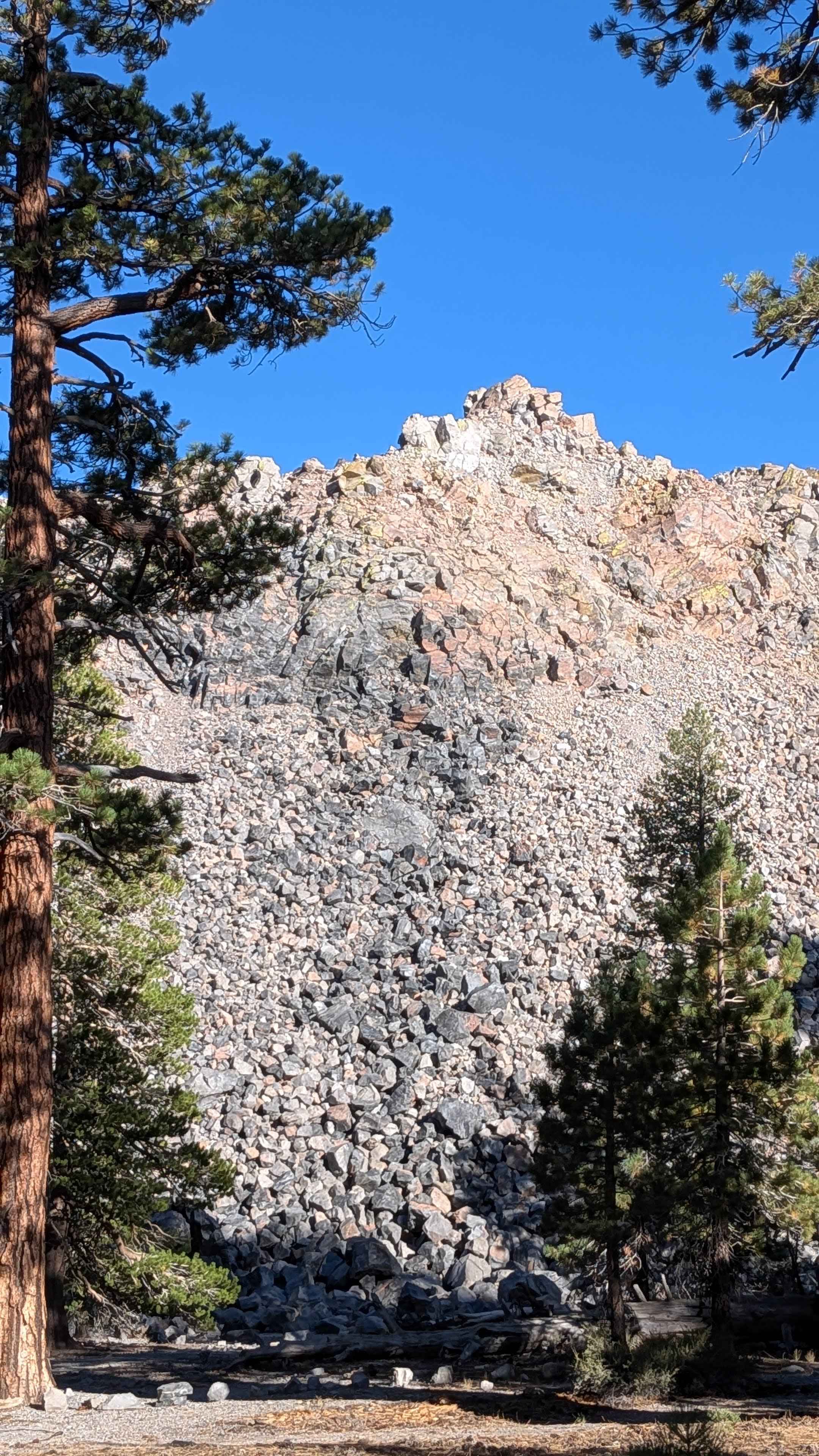 Obsidian Loop FS 2S79