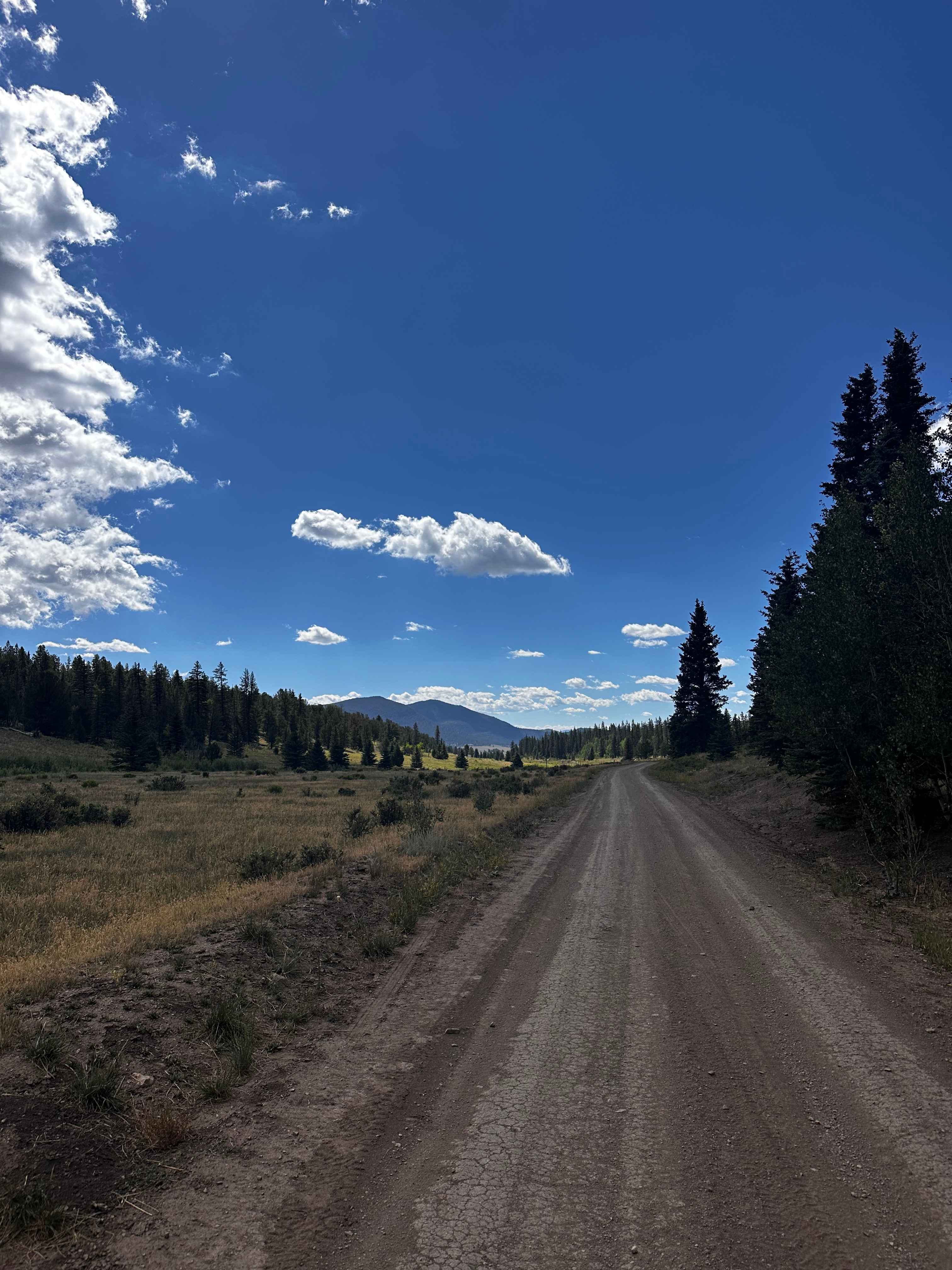 Chubb Park Trail - FS 309