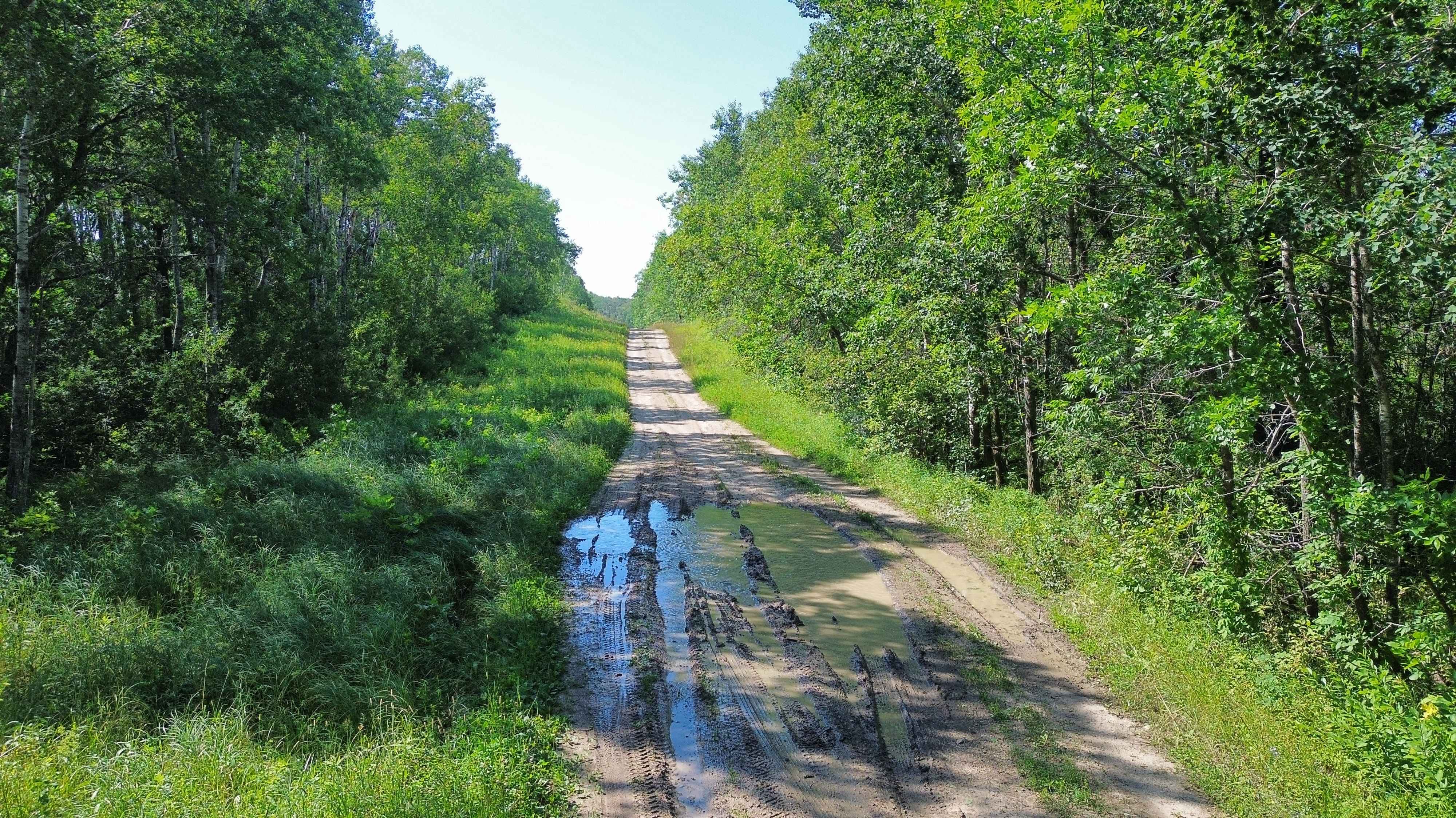 Centre Road - Moose Mountain Provincial Park
