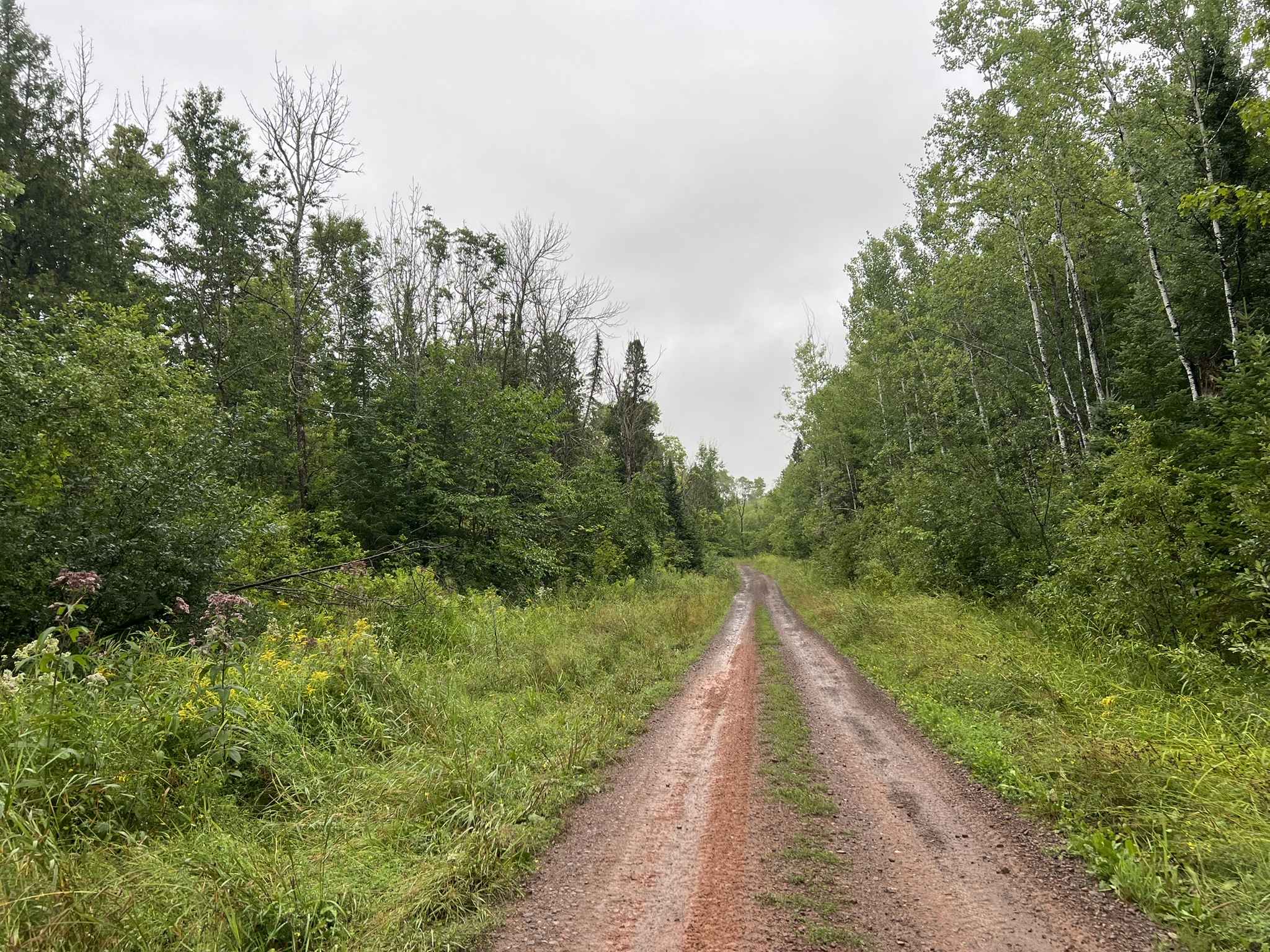 Trail P - Cascade Falls