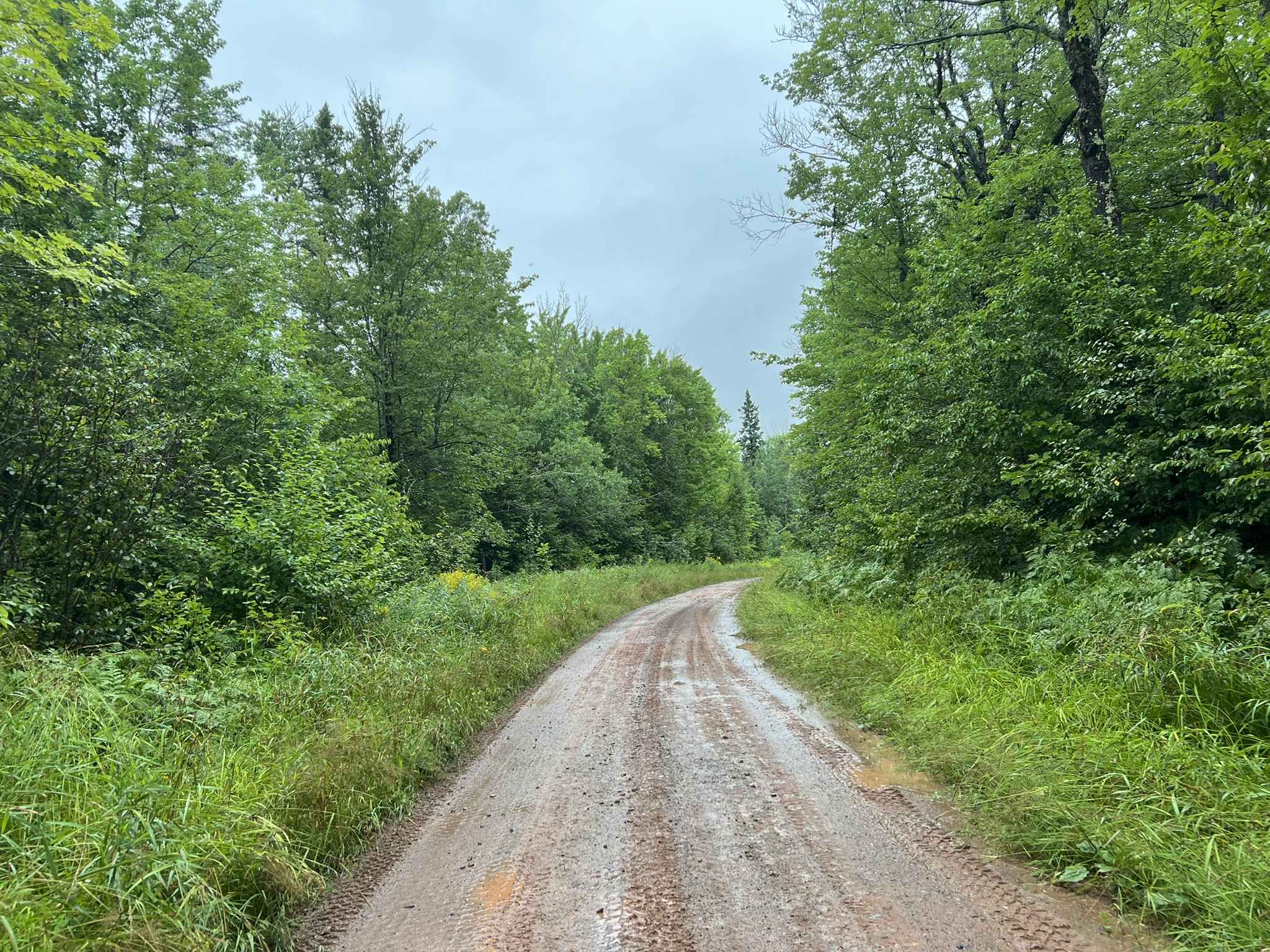 Trail P - Cascade Falls