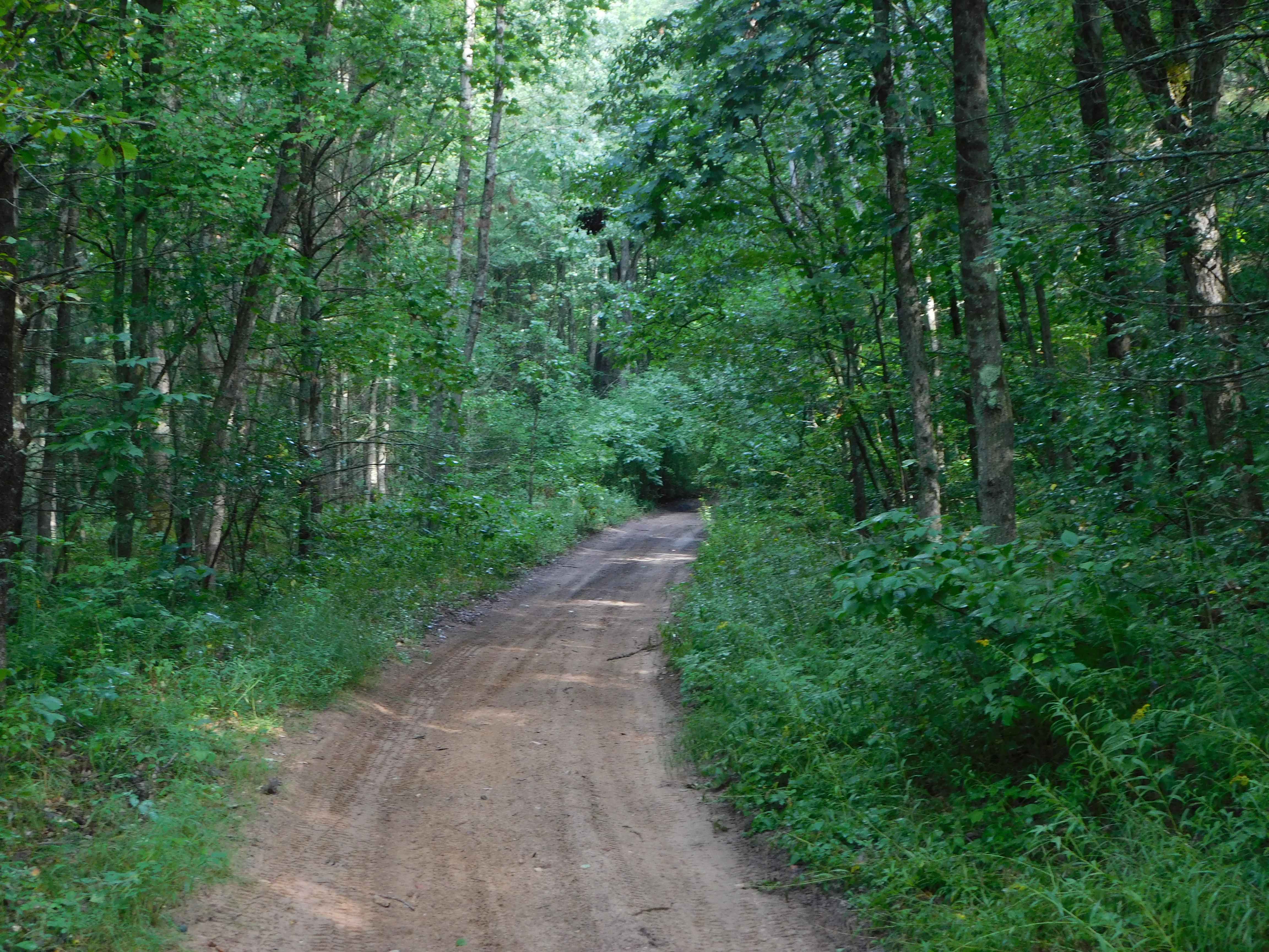 Forest Service Road 5296