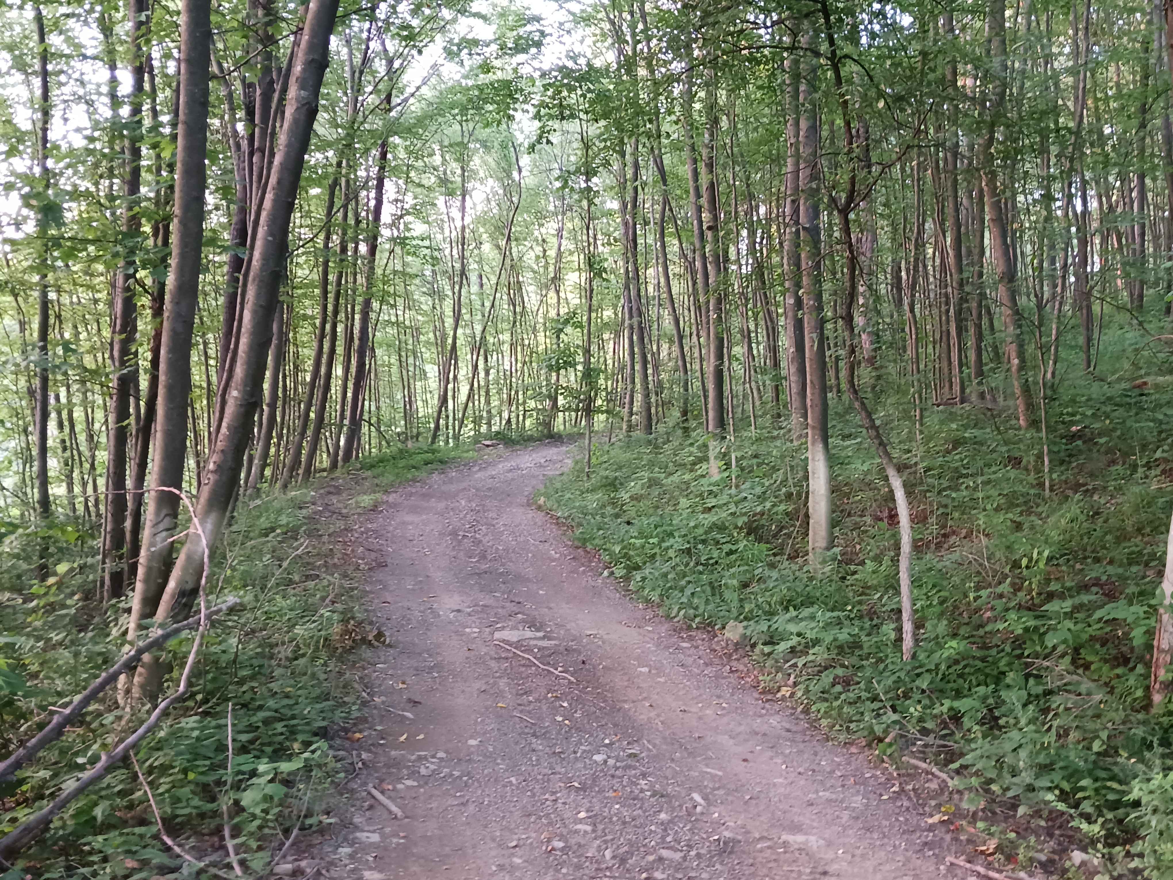 Upper Briar Path - Rock Run Recreation Area