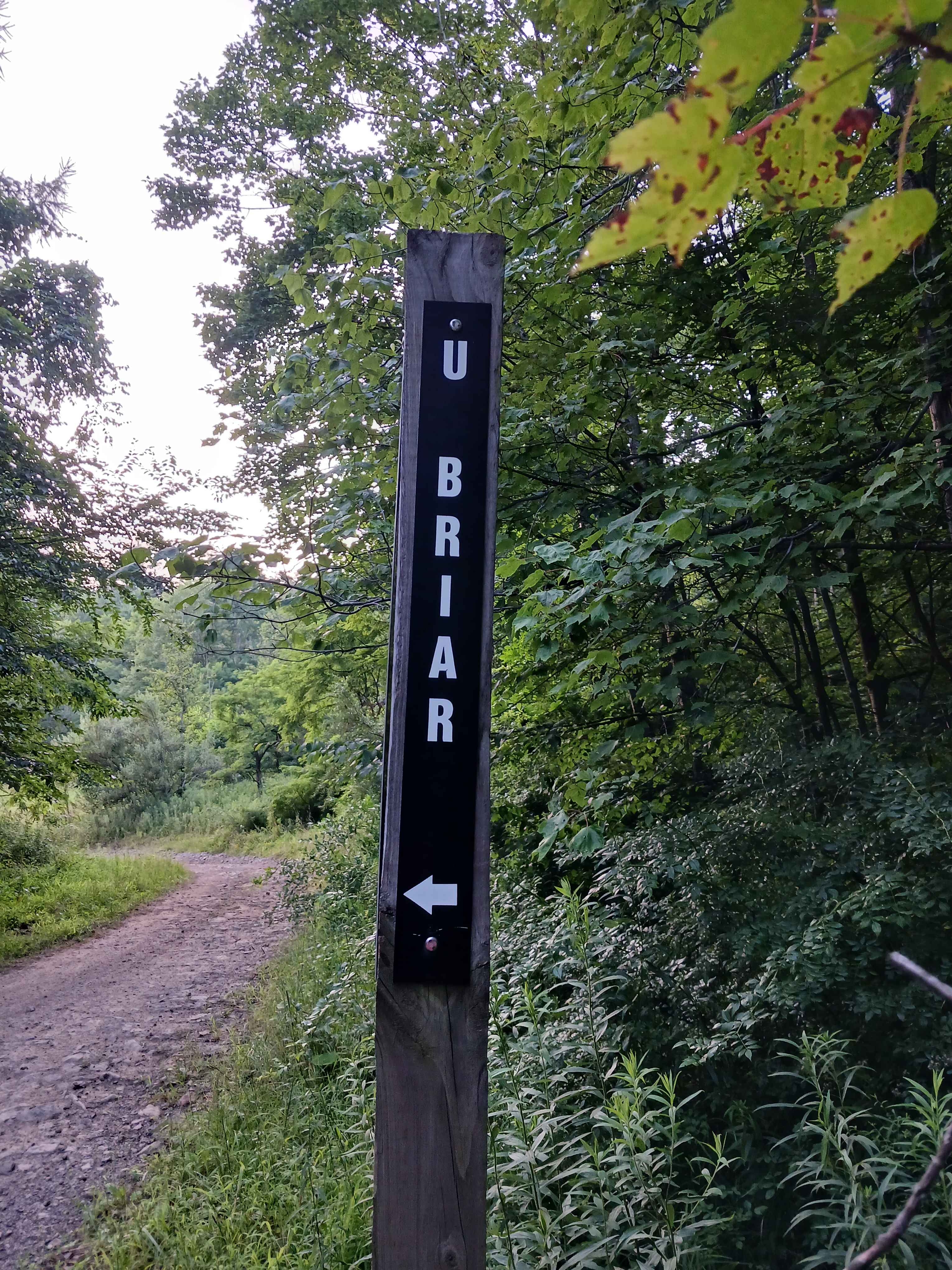 Upper Briar Path - Rock Run Recreation Area