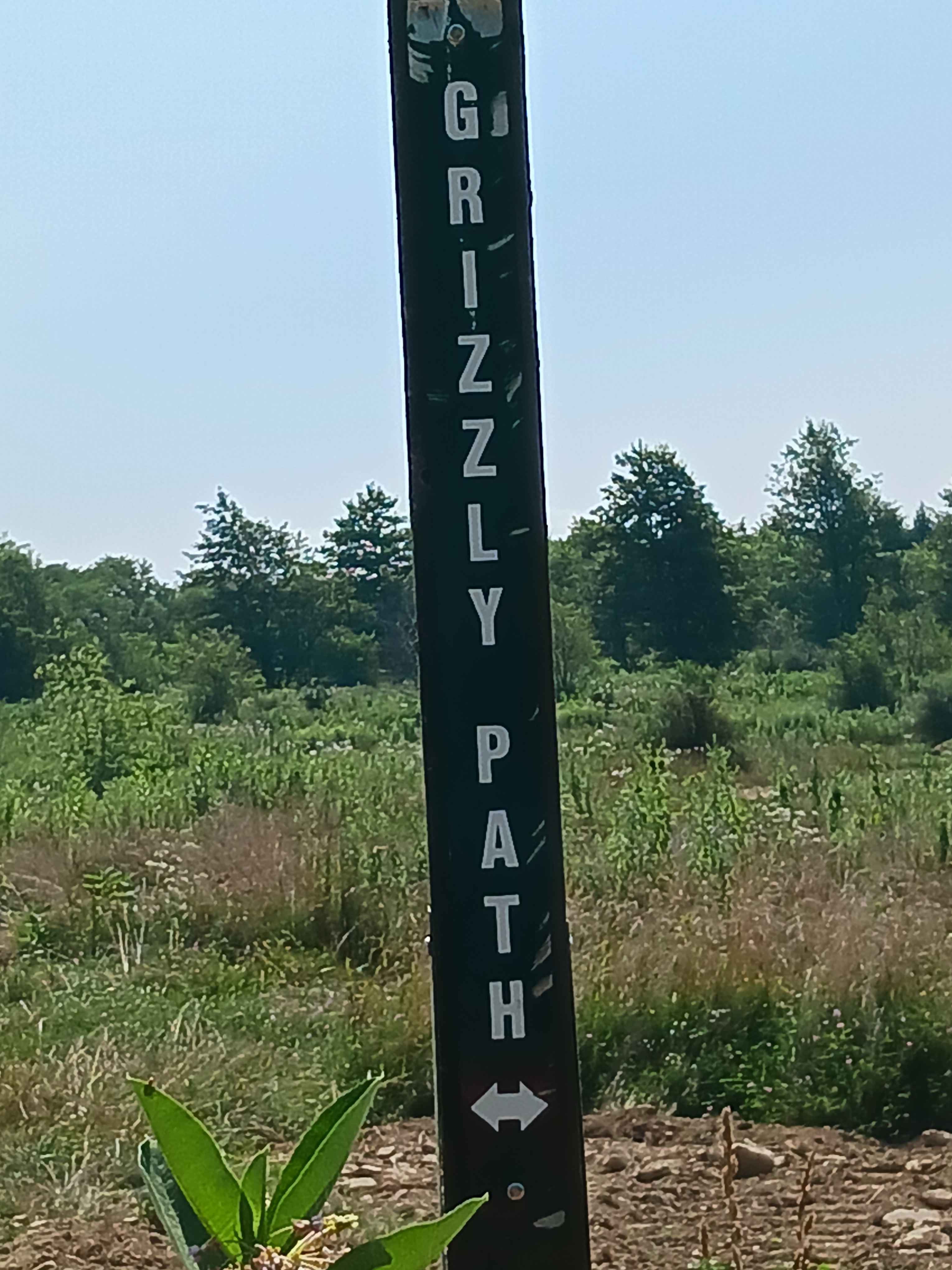 Grizzly Path - Rock Run Recreation Area