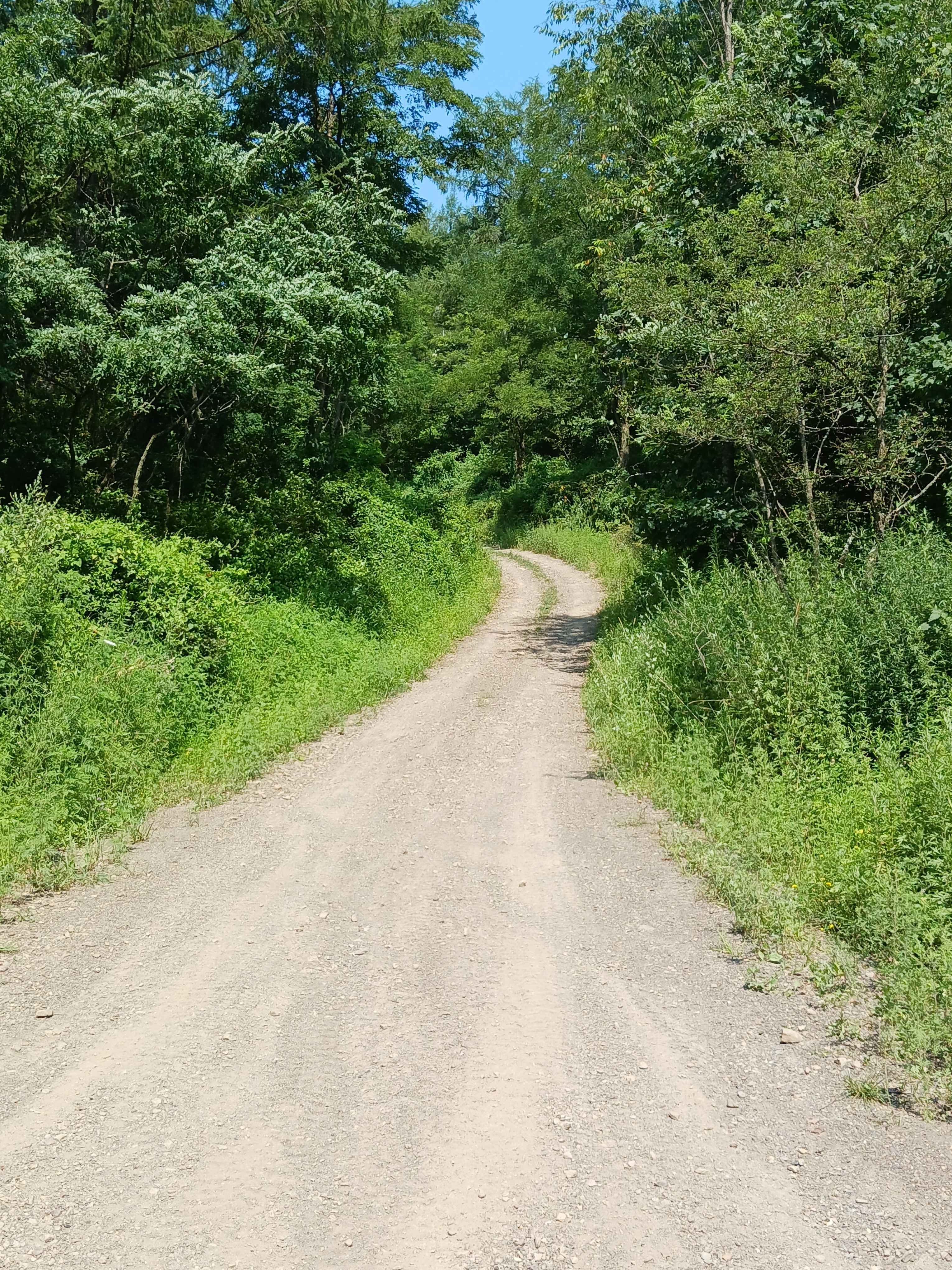 Grizzly Path - Rock Run Recreation Area