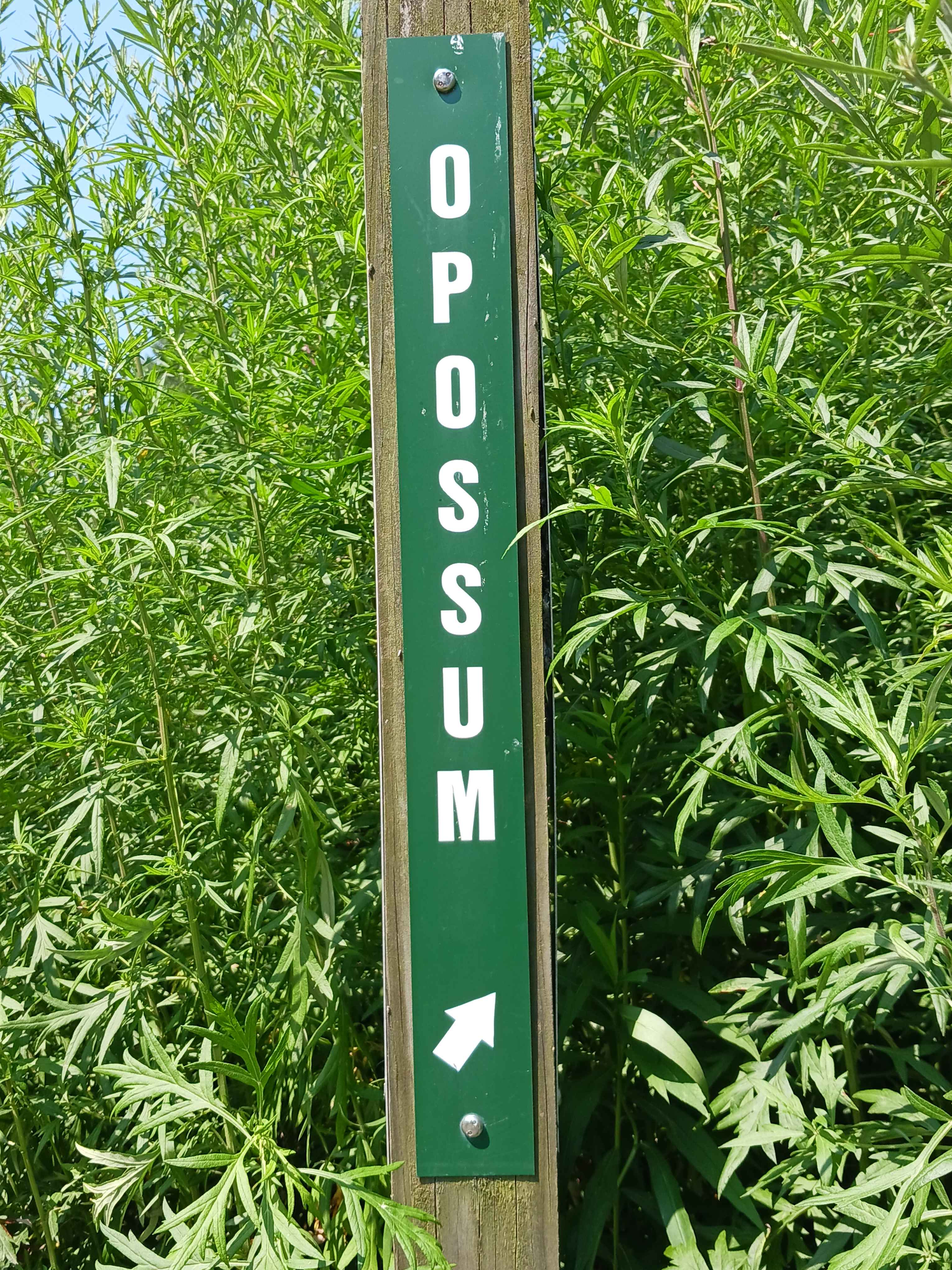 Opossum Run - Rock Run Recreation Area