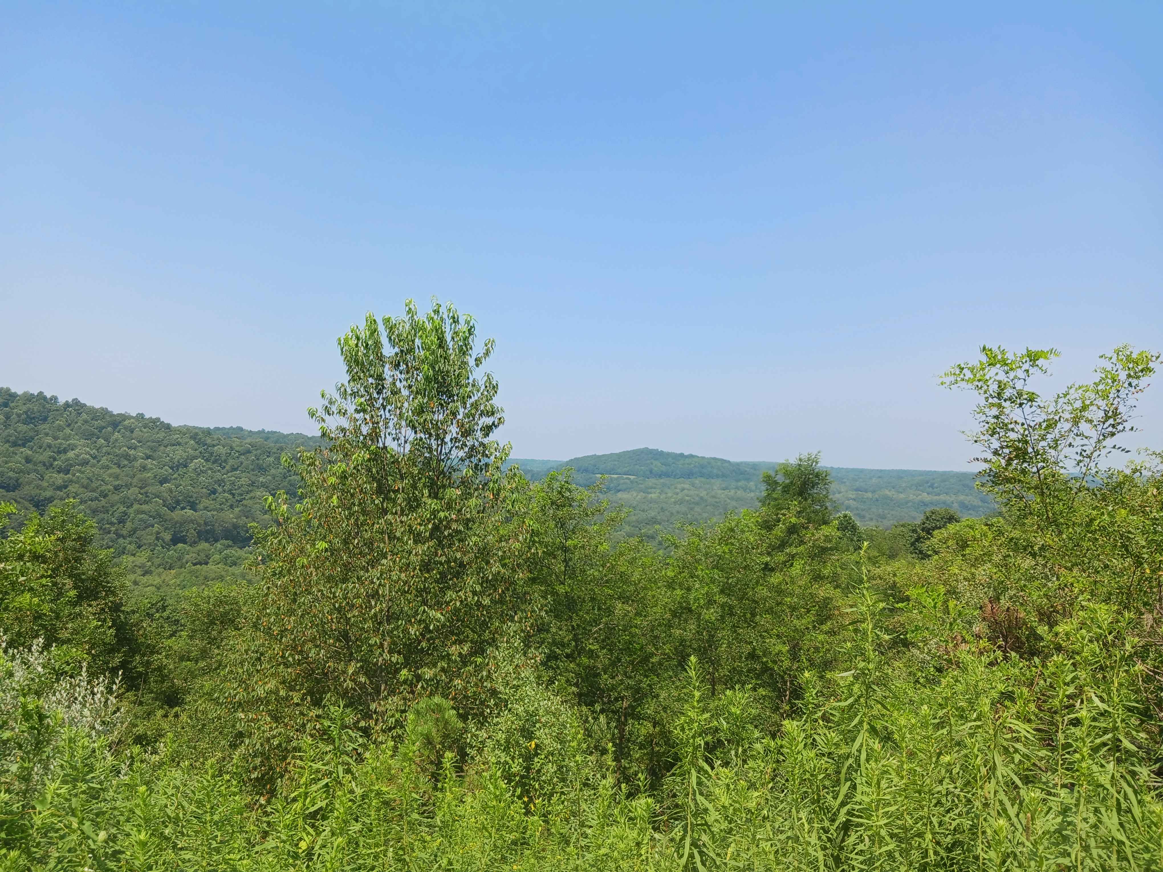 Pine Lane - Rock Run Recreation Area