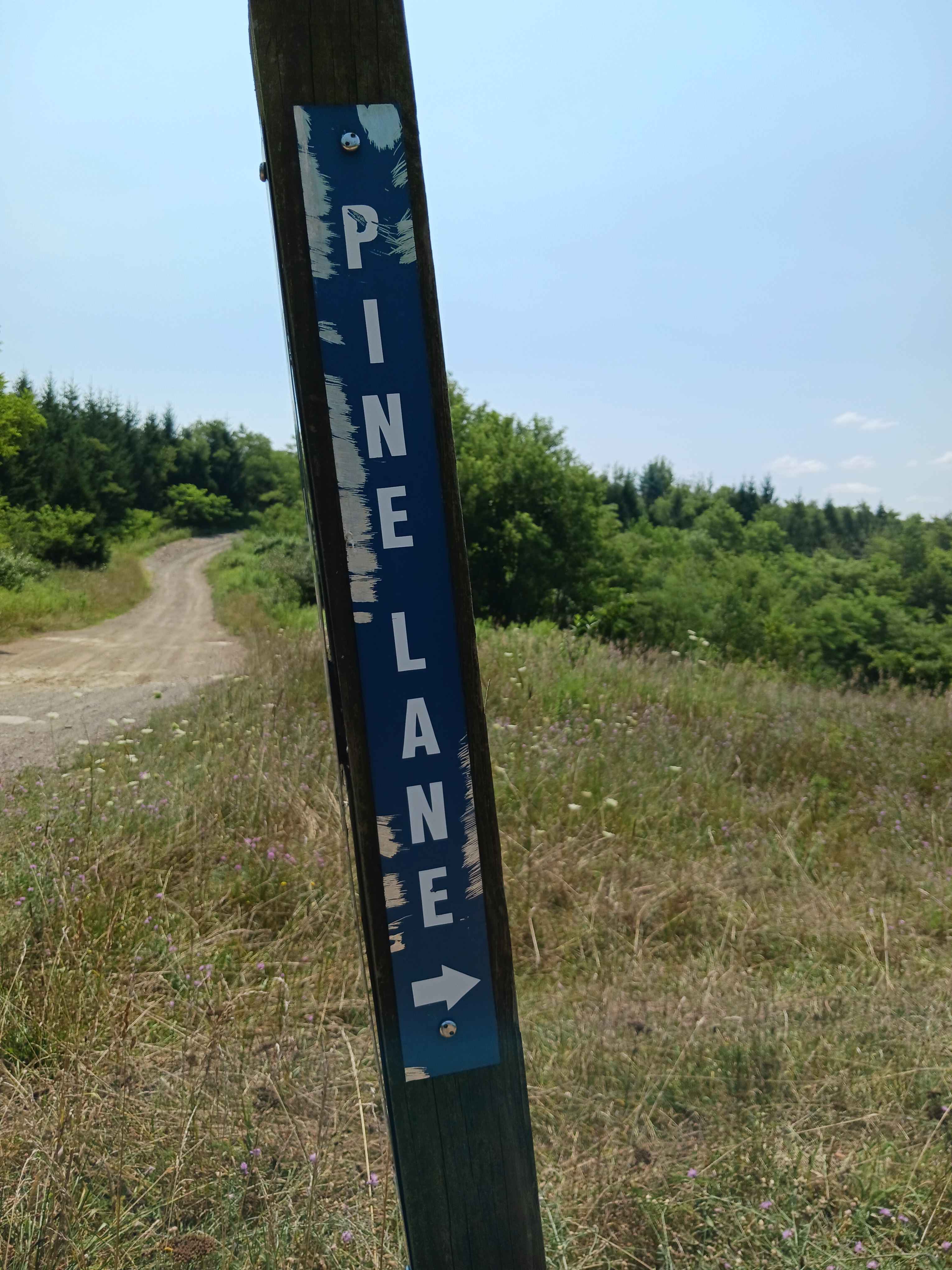 Pine Lane - Rock Run Recreation Area