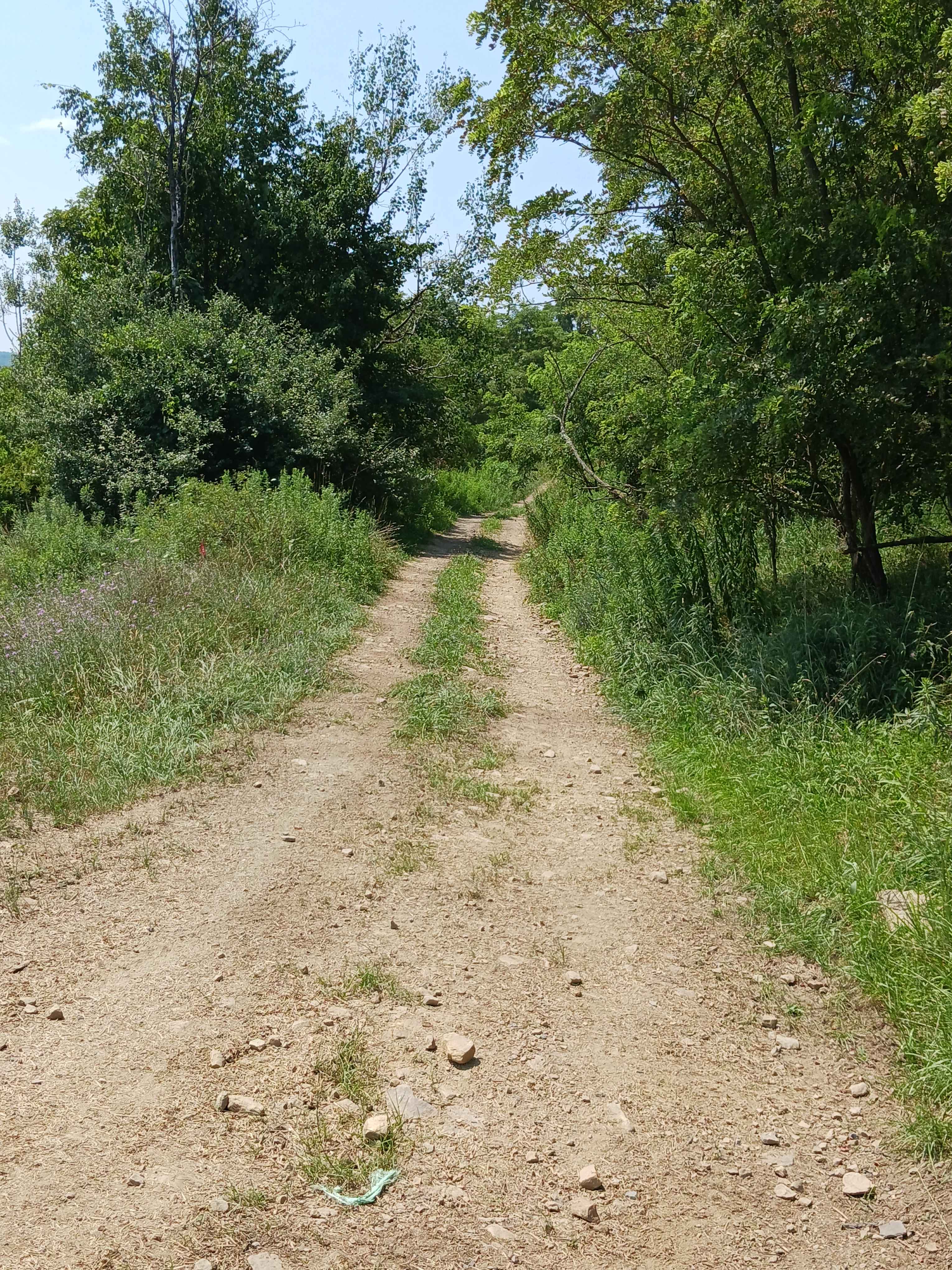 Big Buck Trail - Rock Run Recreation Area