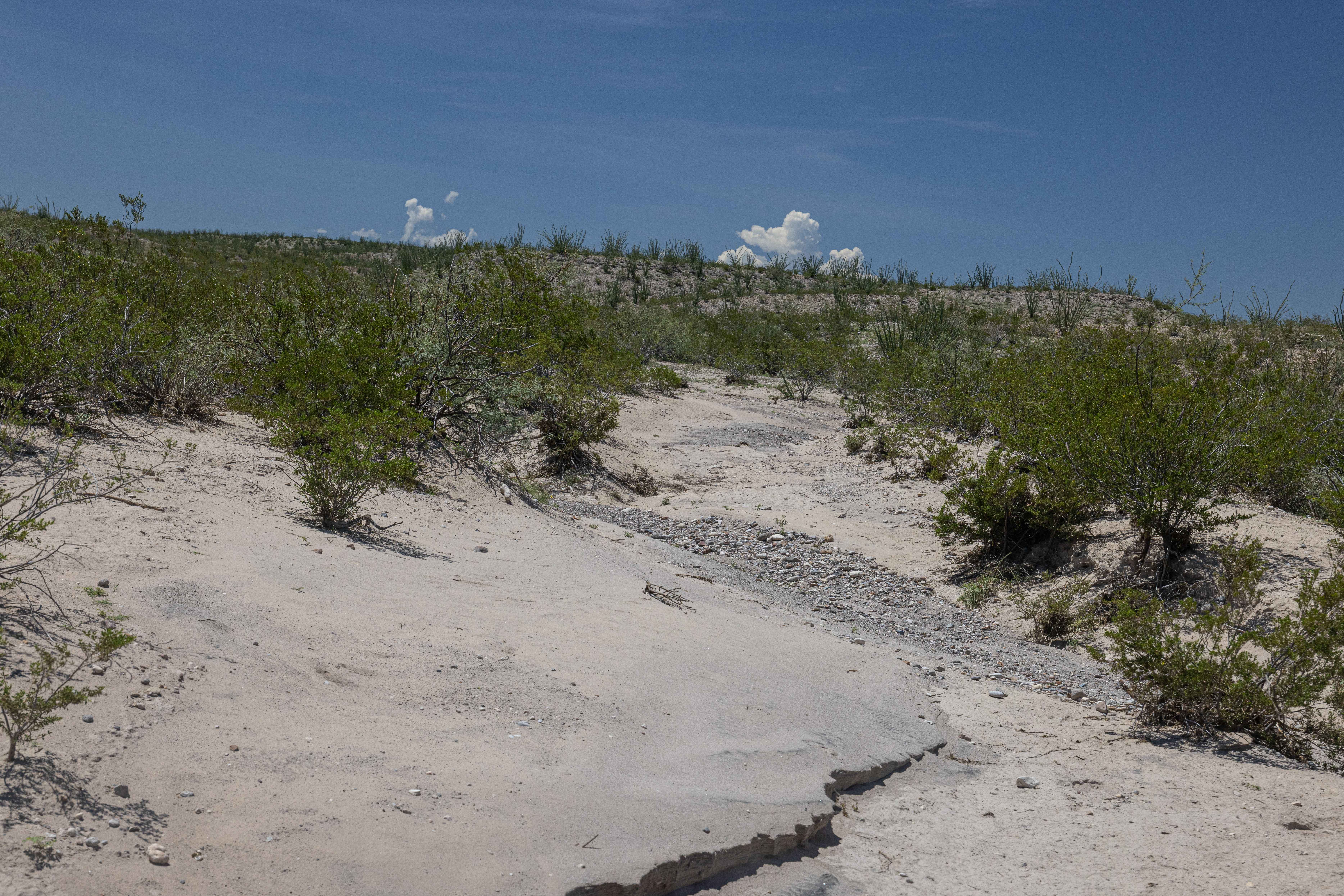 BBRSP Lower Alamito Road