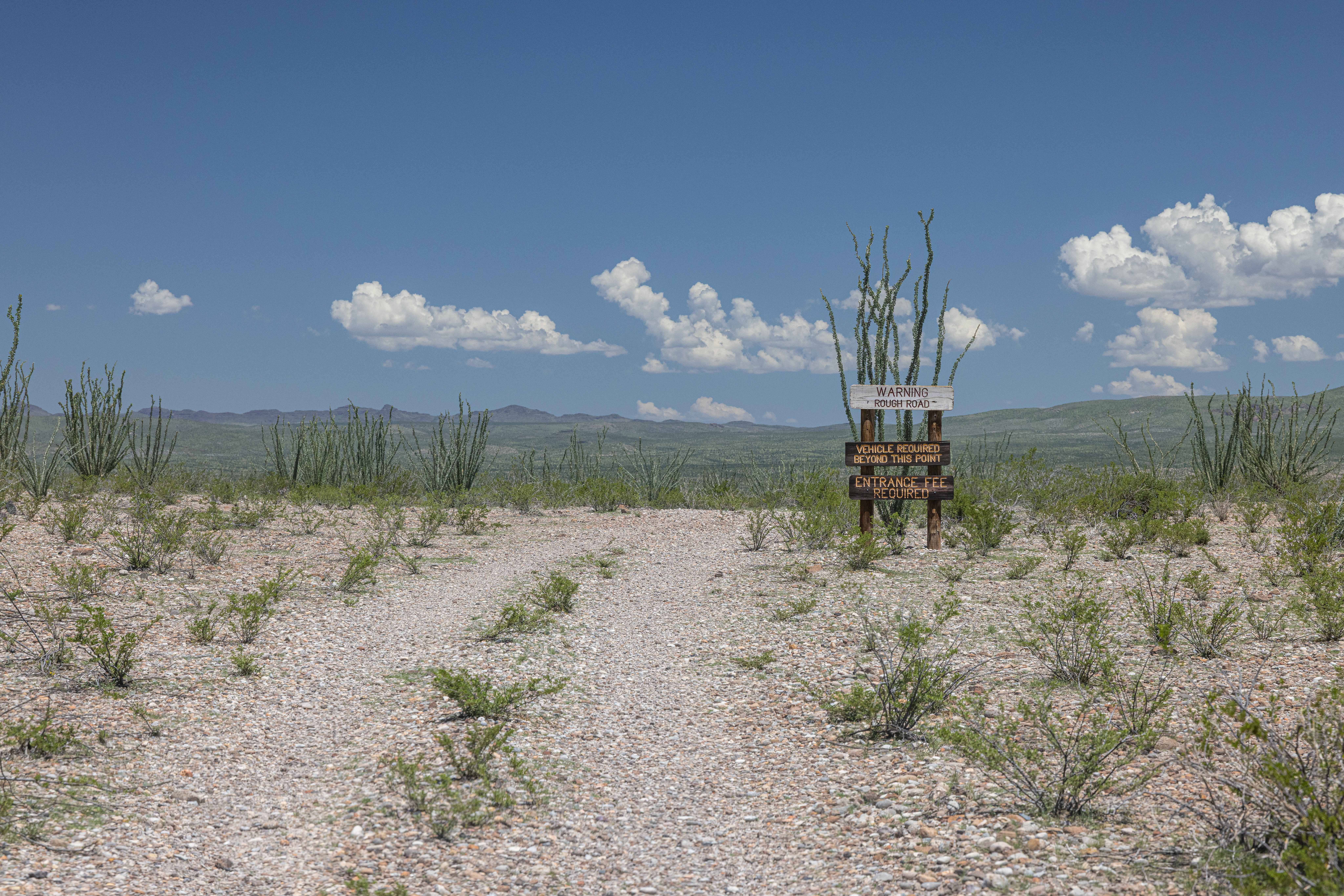 BBRSP Lower Alamito Road