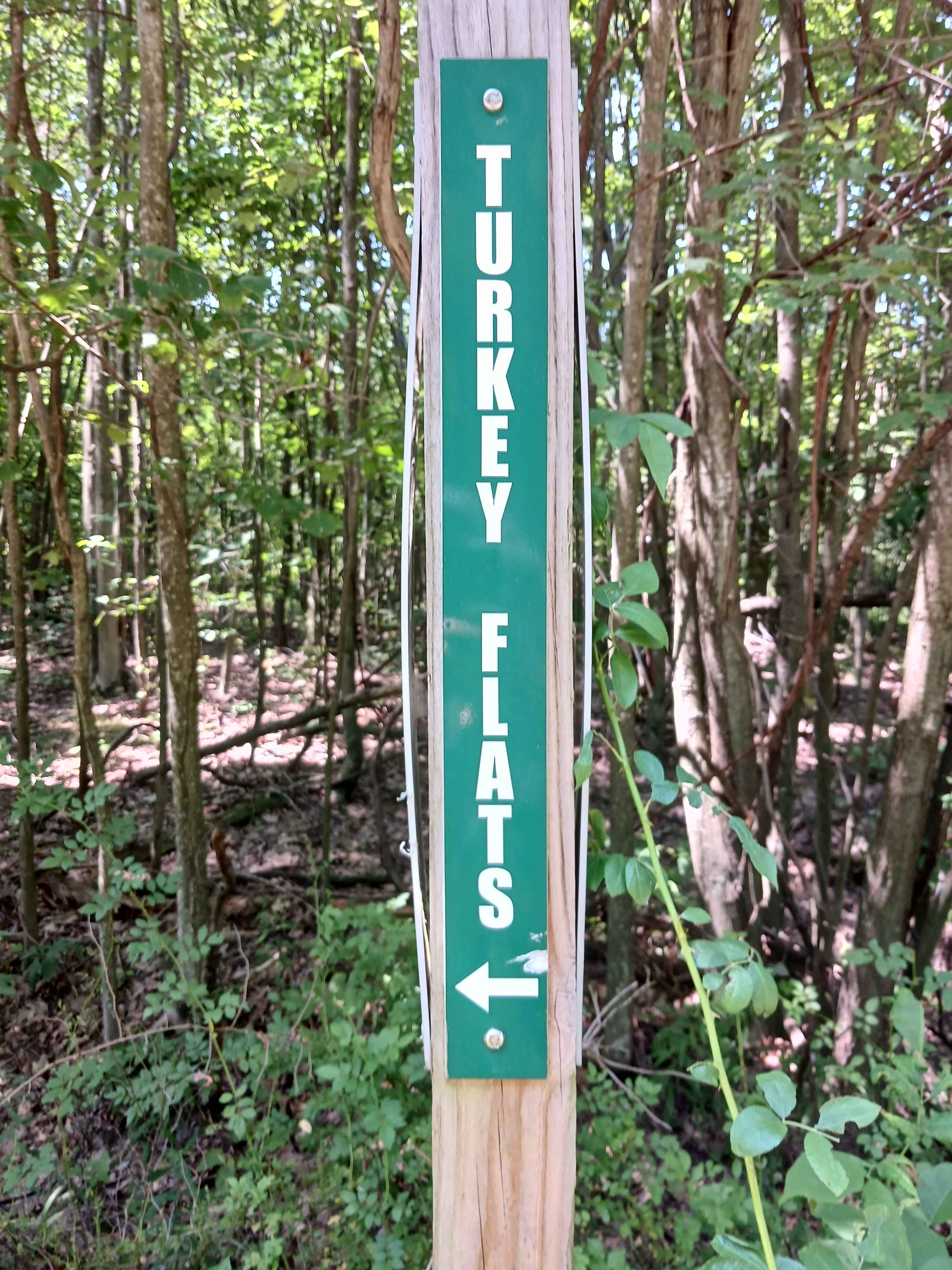 Turkey Flats Road - Rock Run Recreation Area
