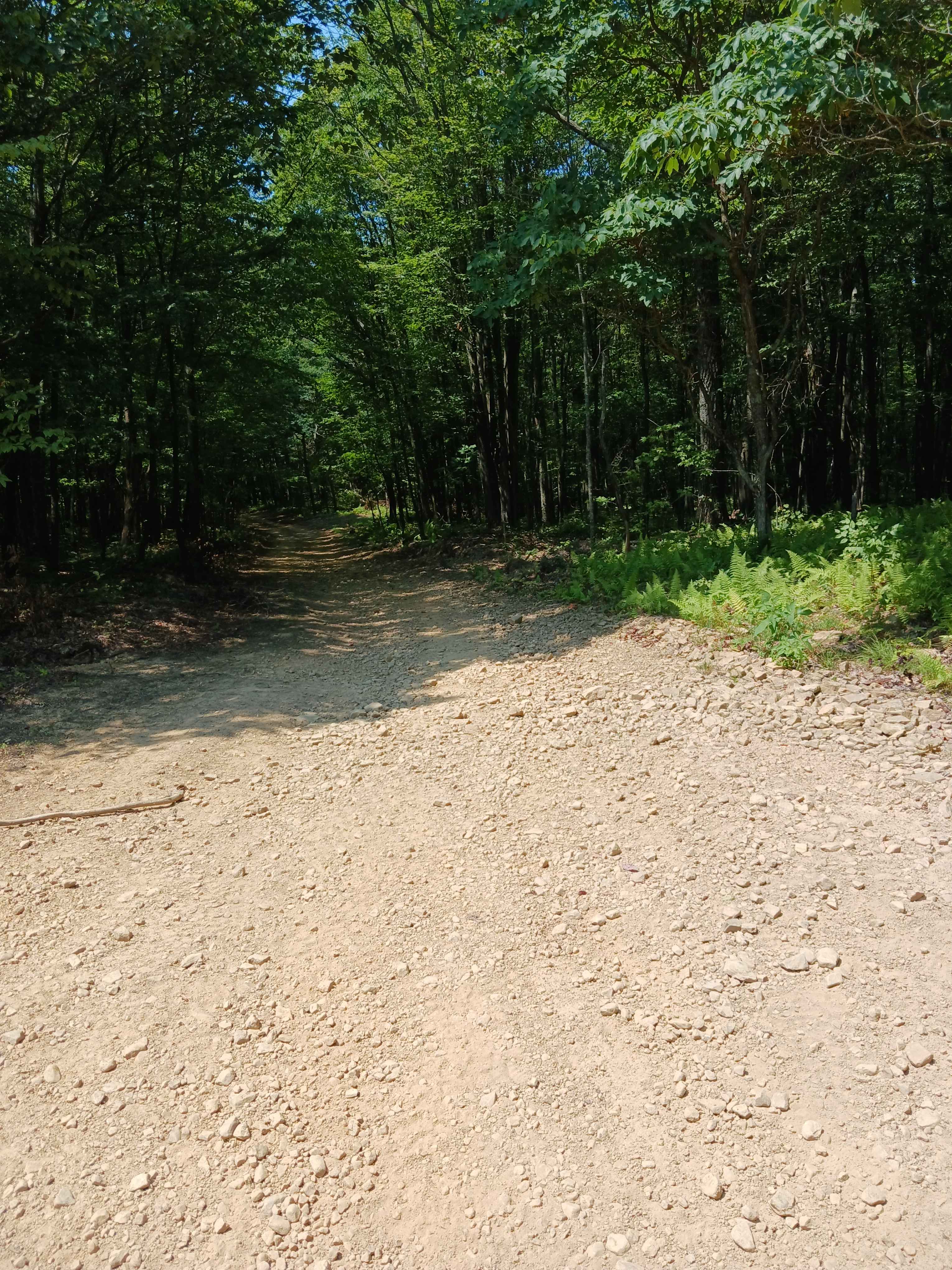 Oak Lane - Rock Run Recreation Area