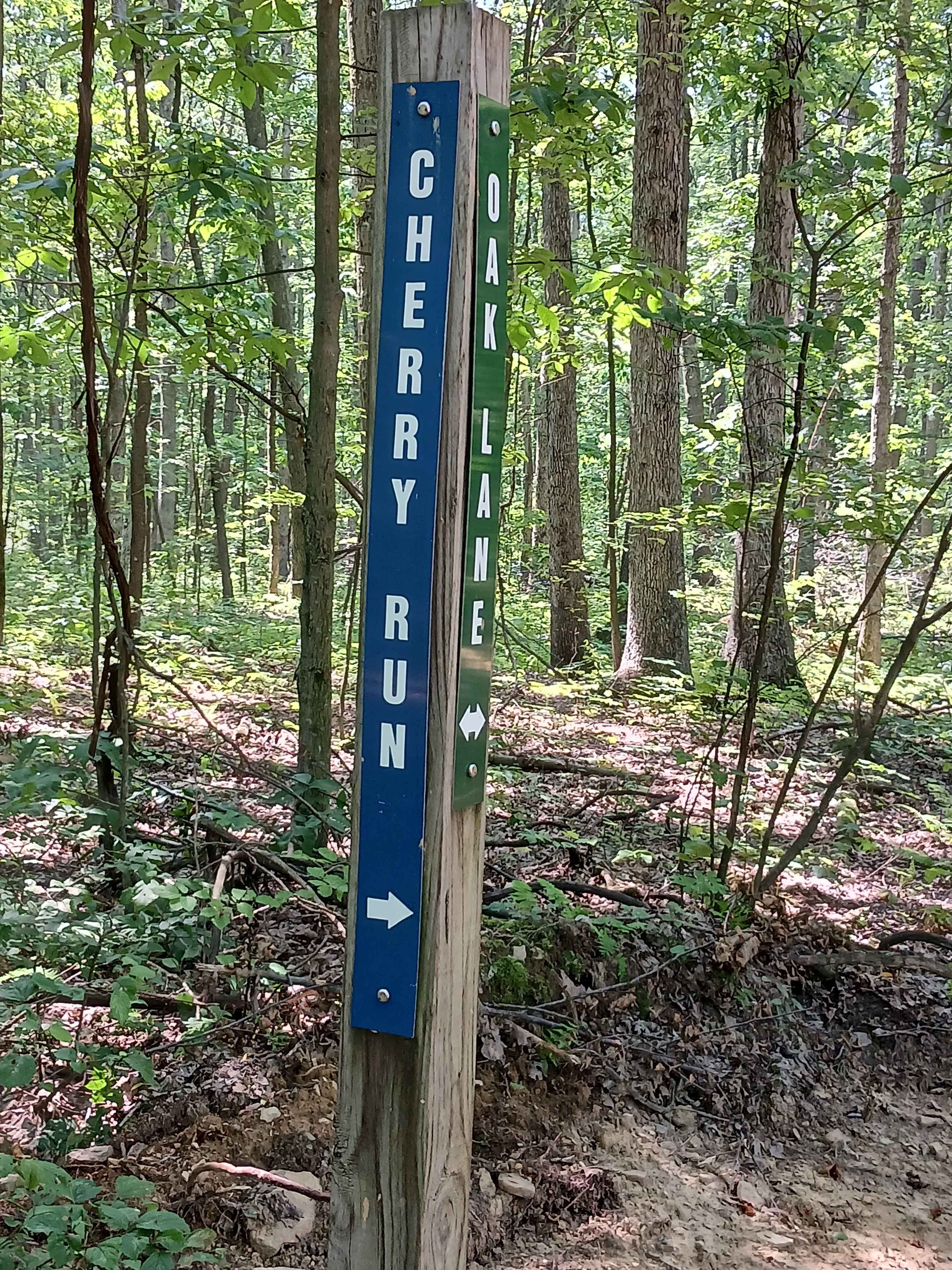 Cherry Run - Rock Run Recreation Area