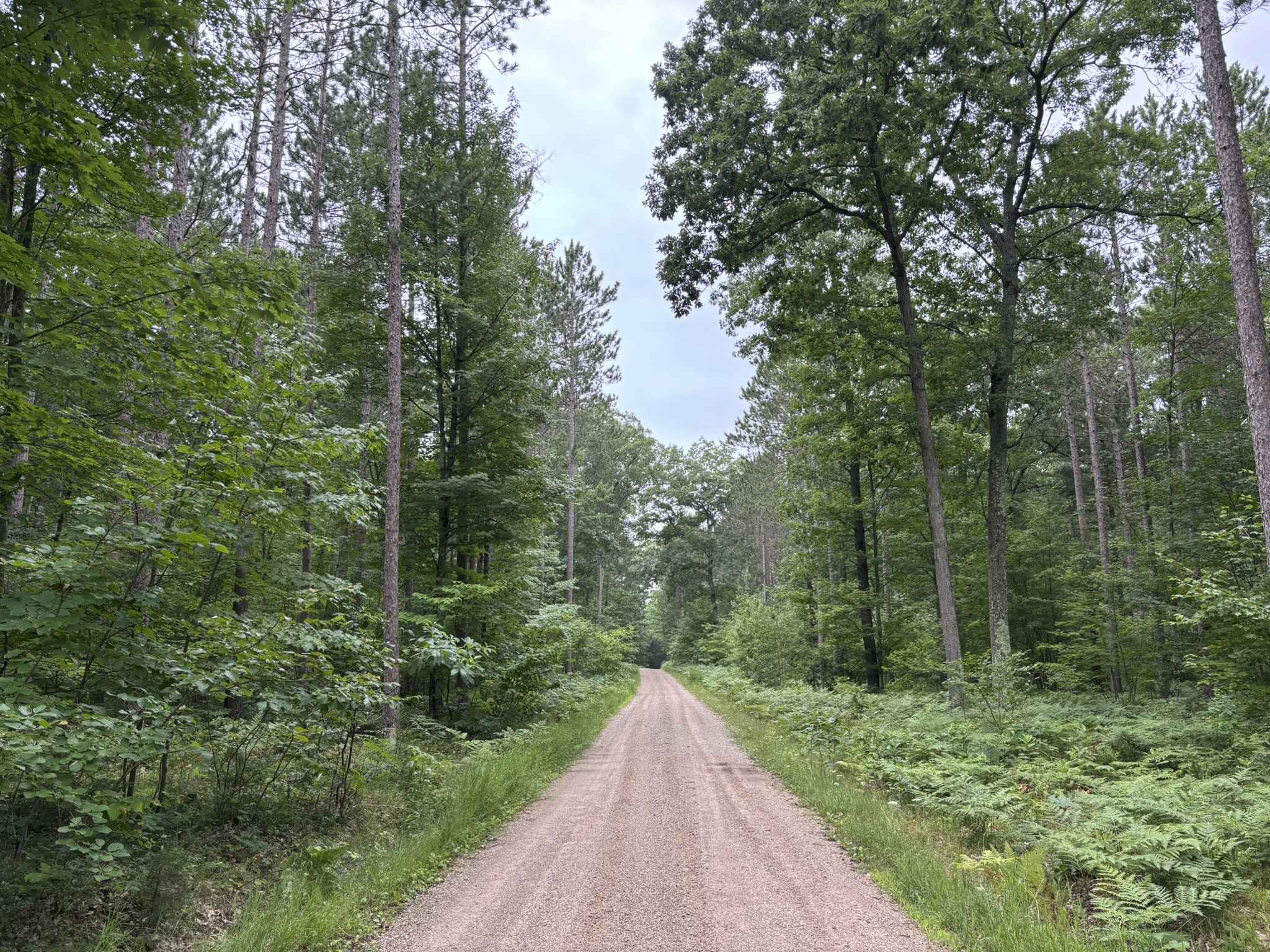 Steinberg Road - FS 5502