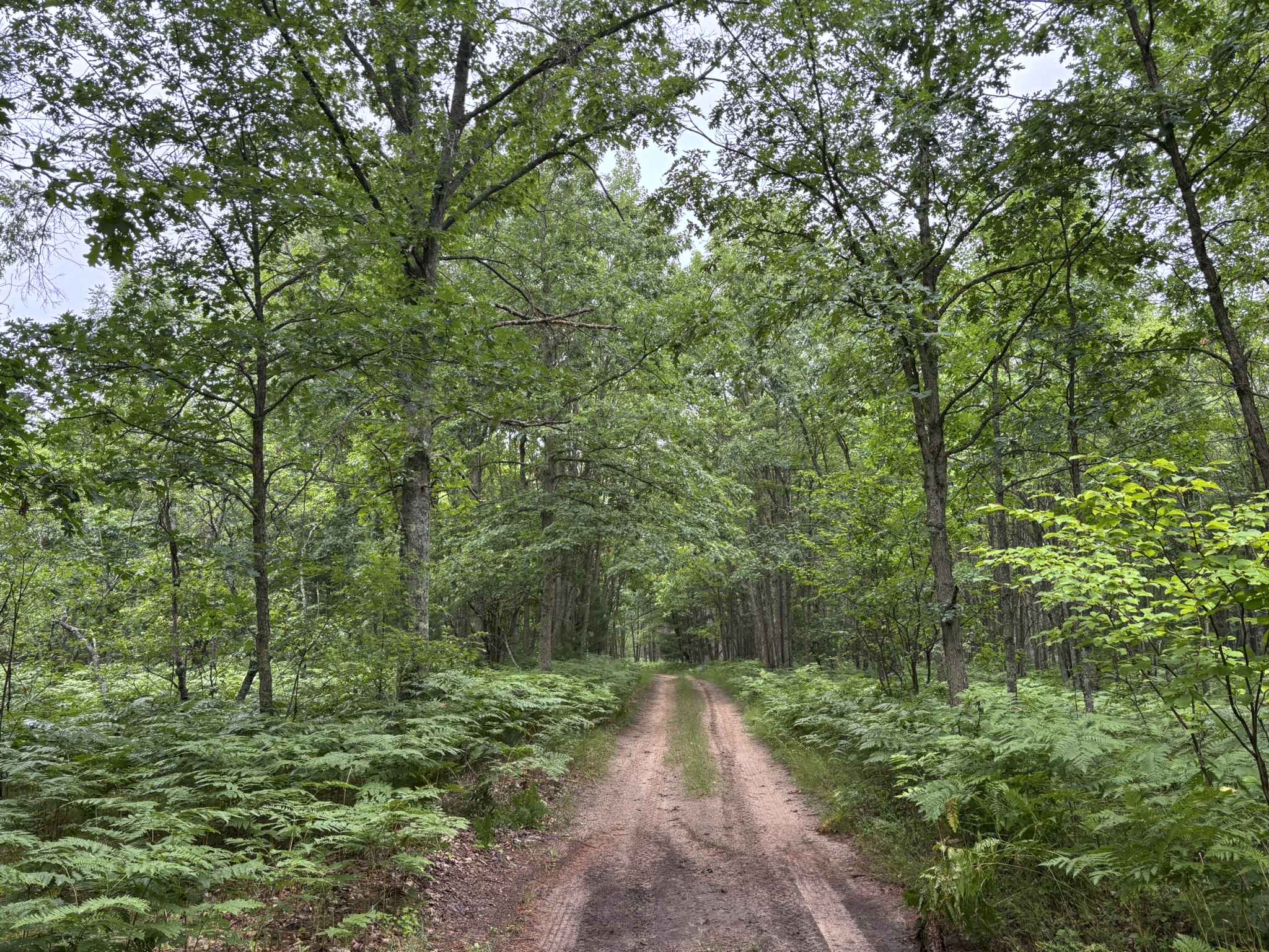 Steinberg Road - FS 5502