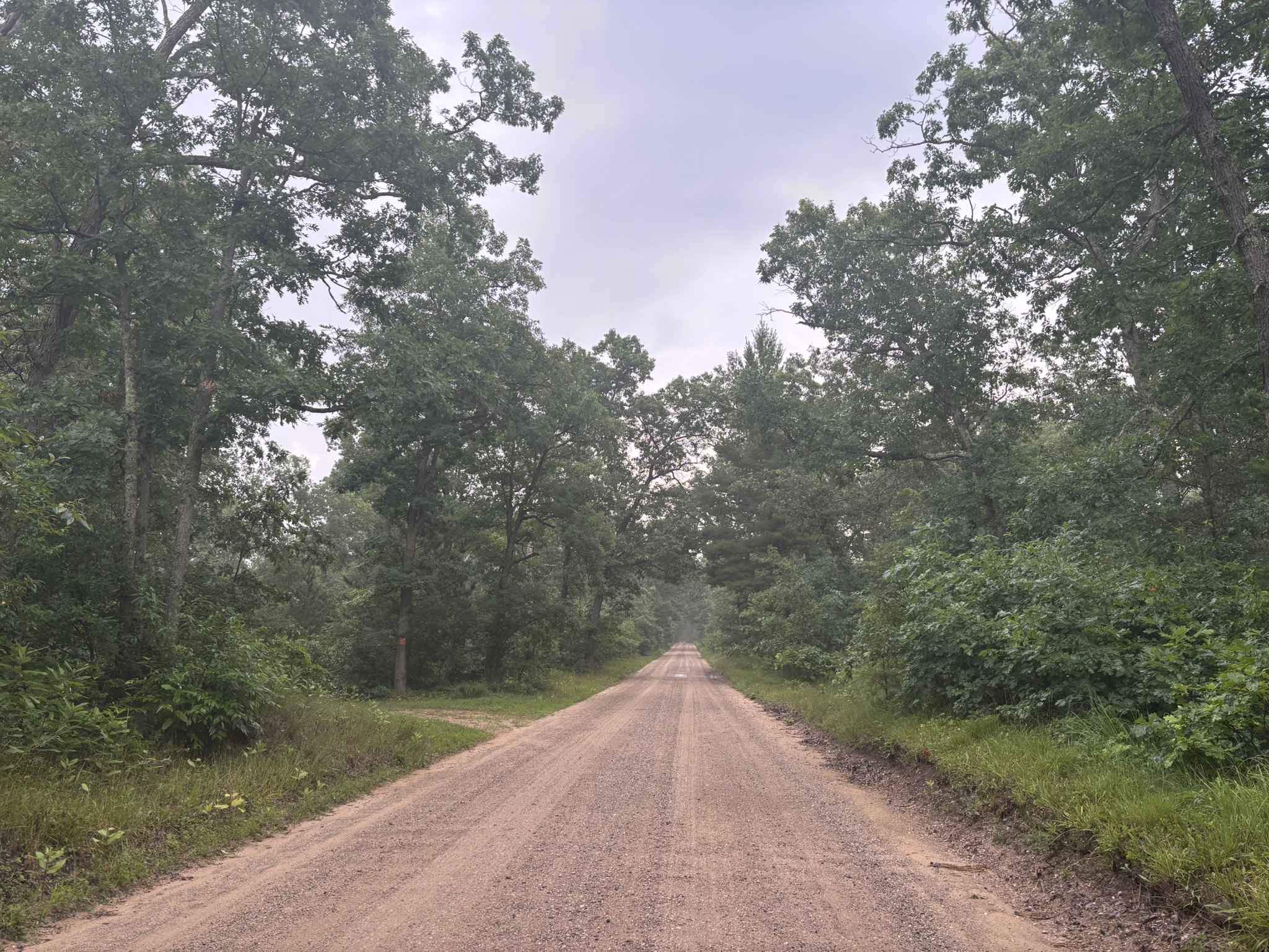 South County Line Road