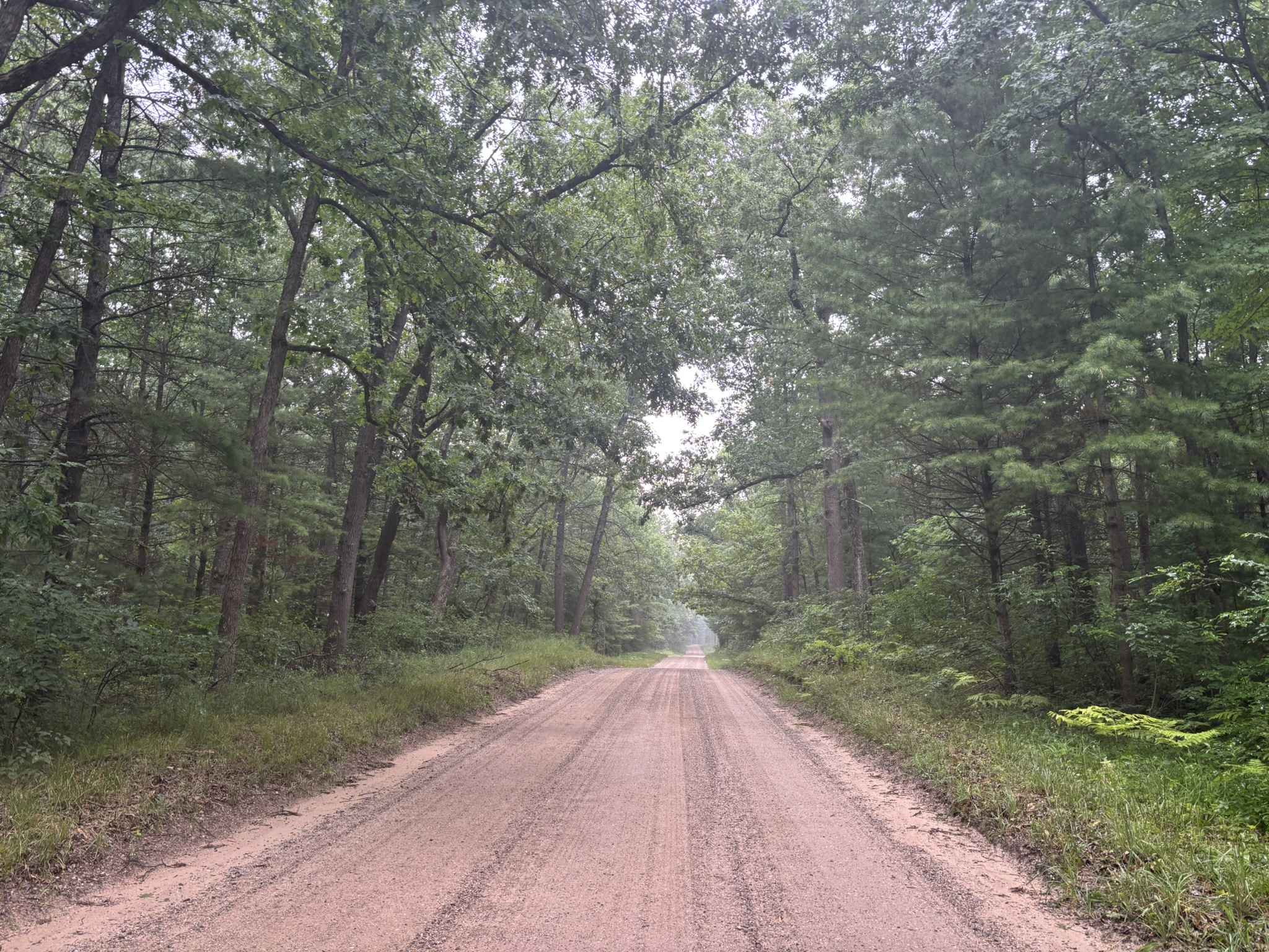 South County Line Road