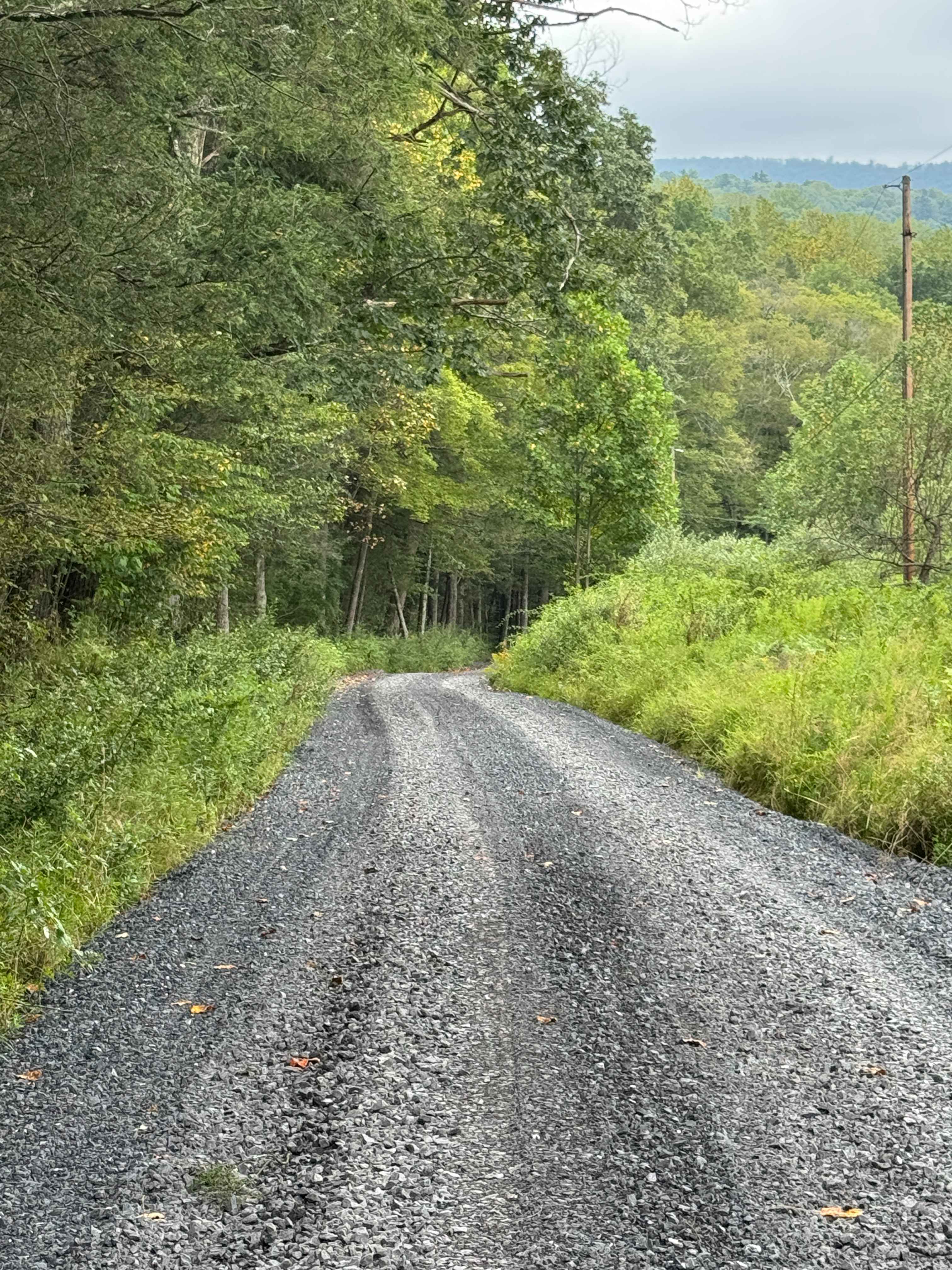 Upper Grays Run Road