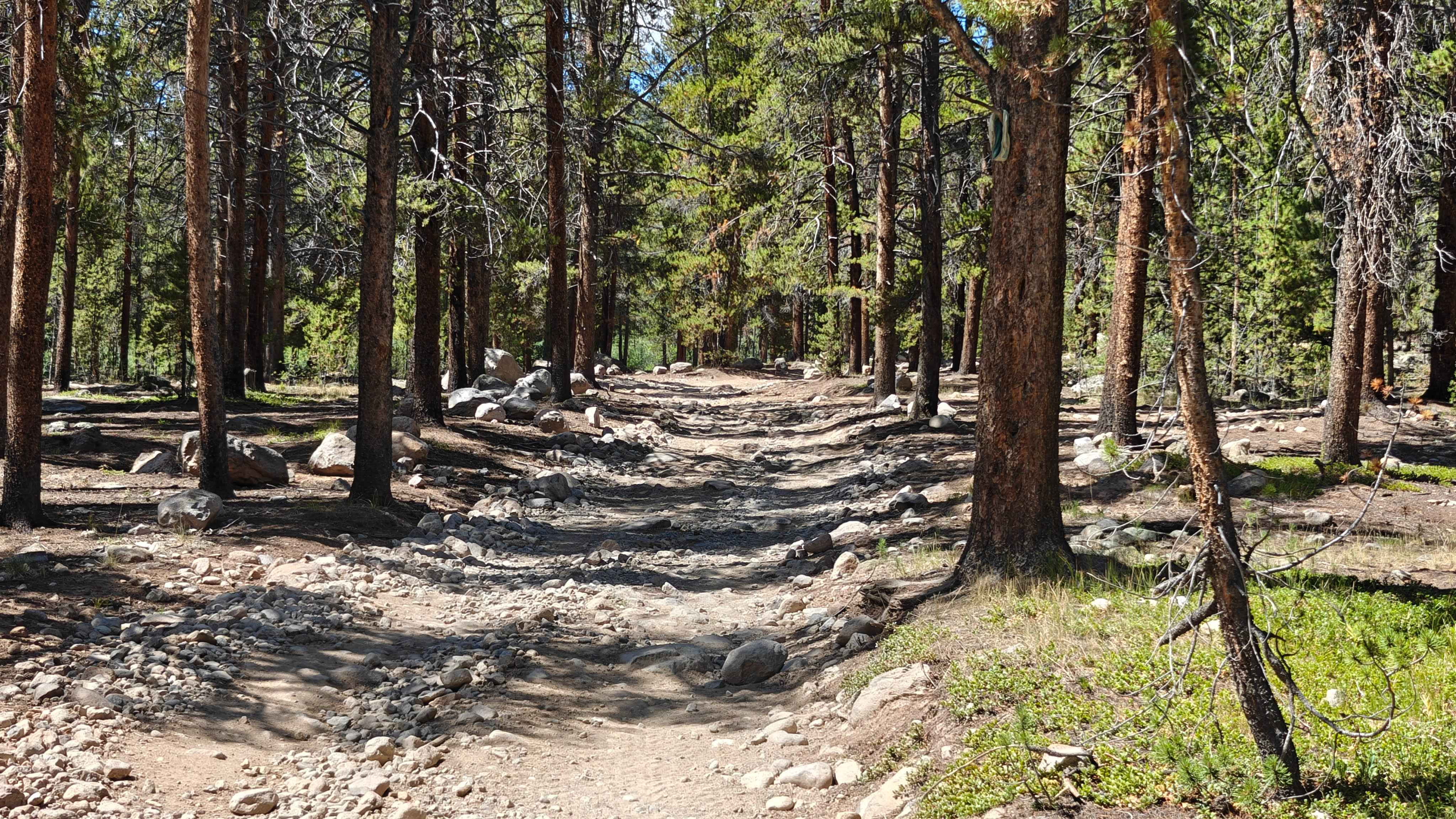 Tellurium Creek Road