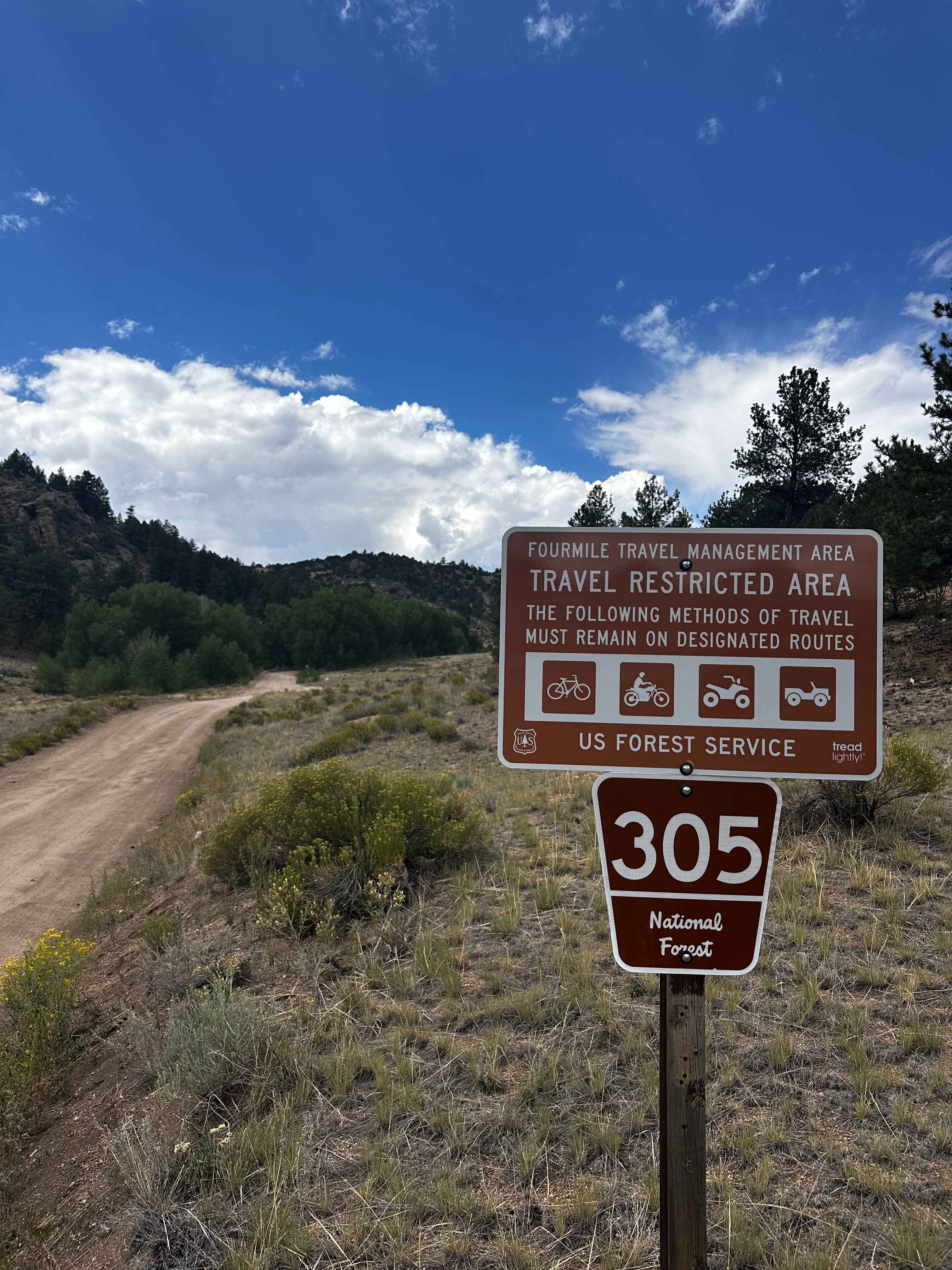 McGee Gulch - FS 305