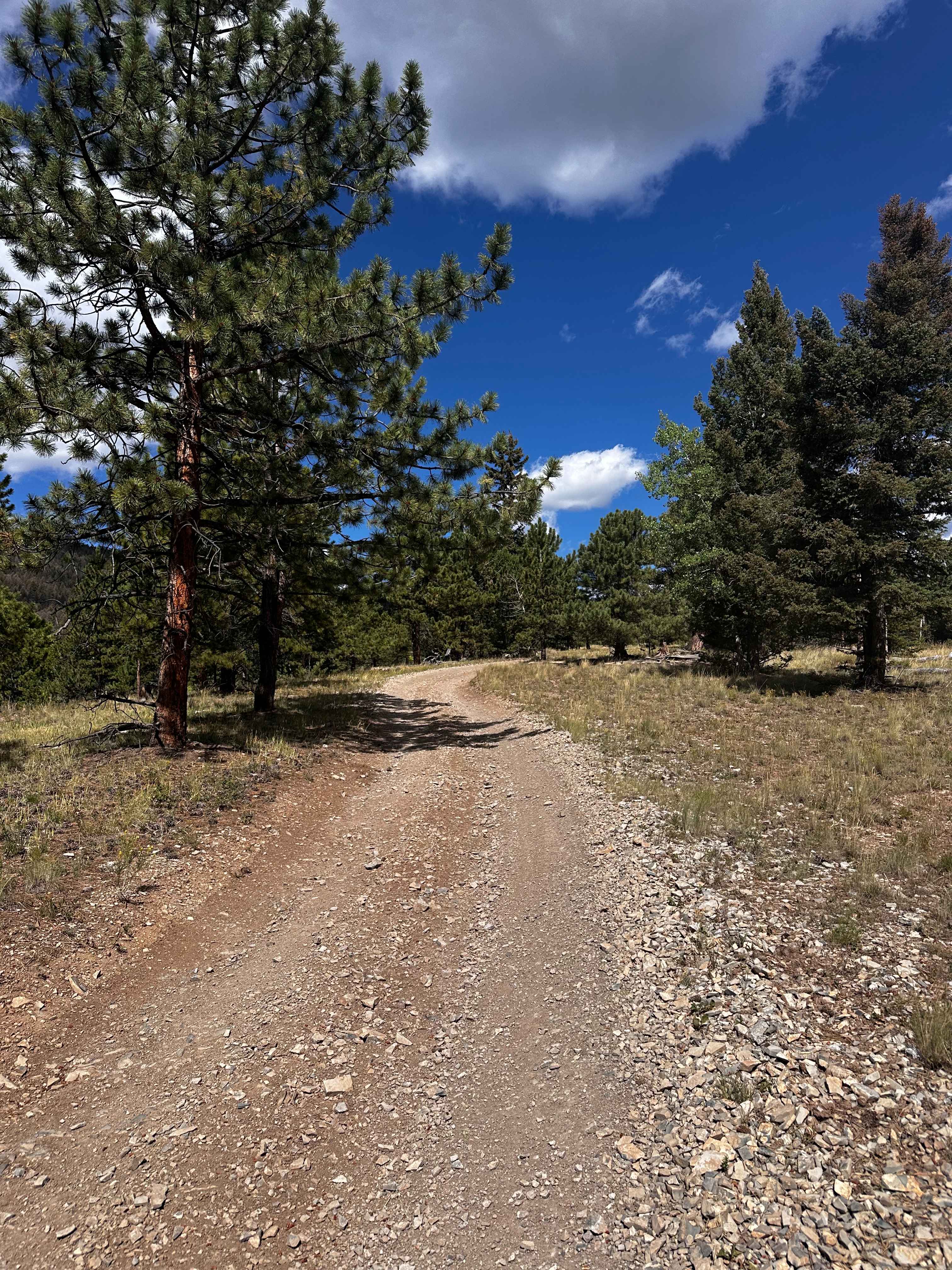 Forest Service Road 309A