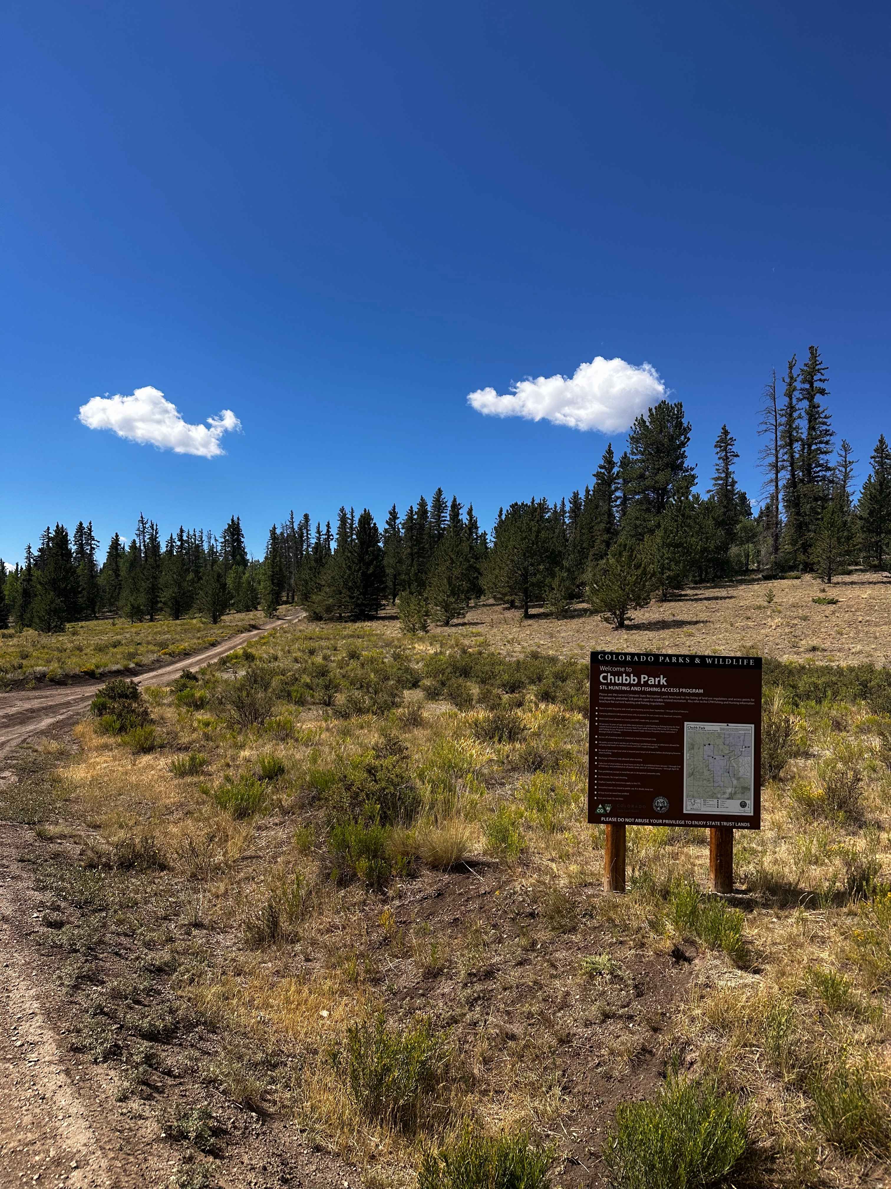 Forest Service Road 309A
