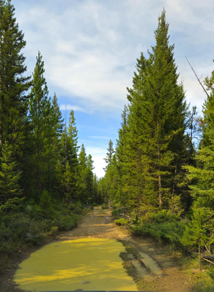 CP Flight 21 Crash Site Trail