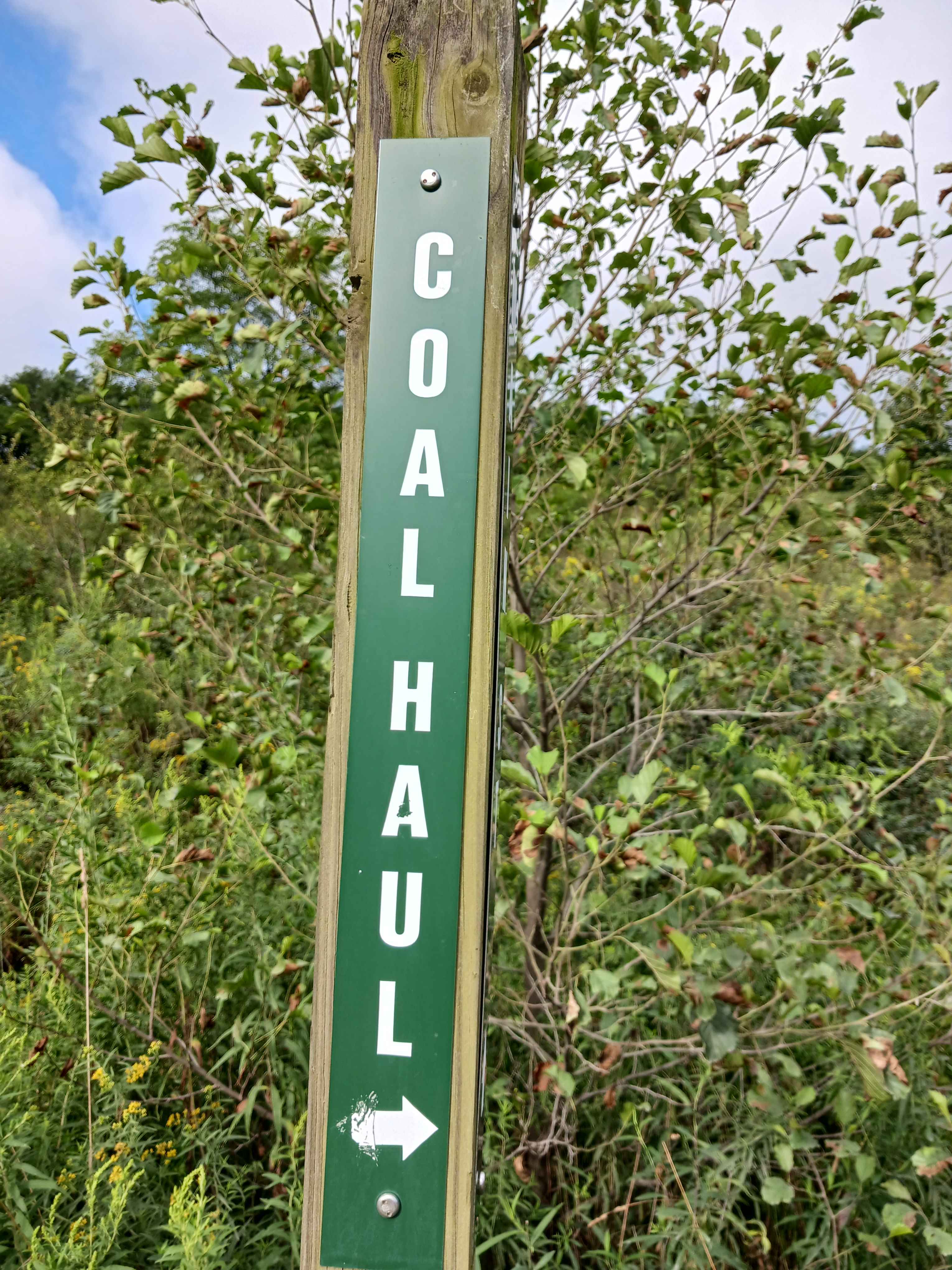 Coal Haul Road - Rock Run Recreation Area