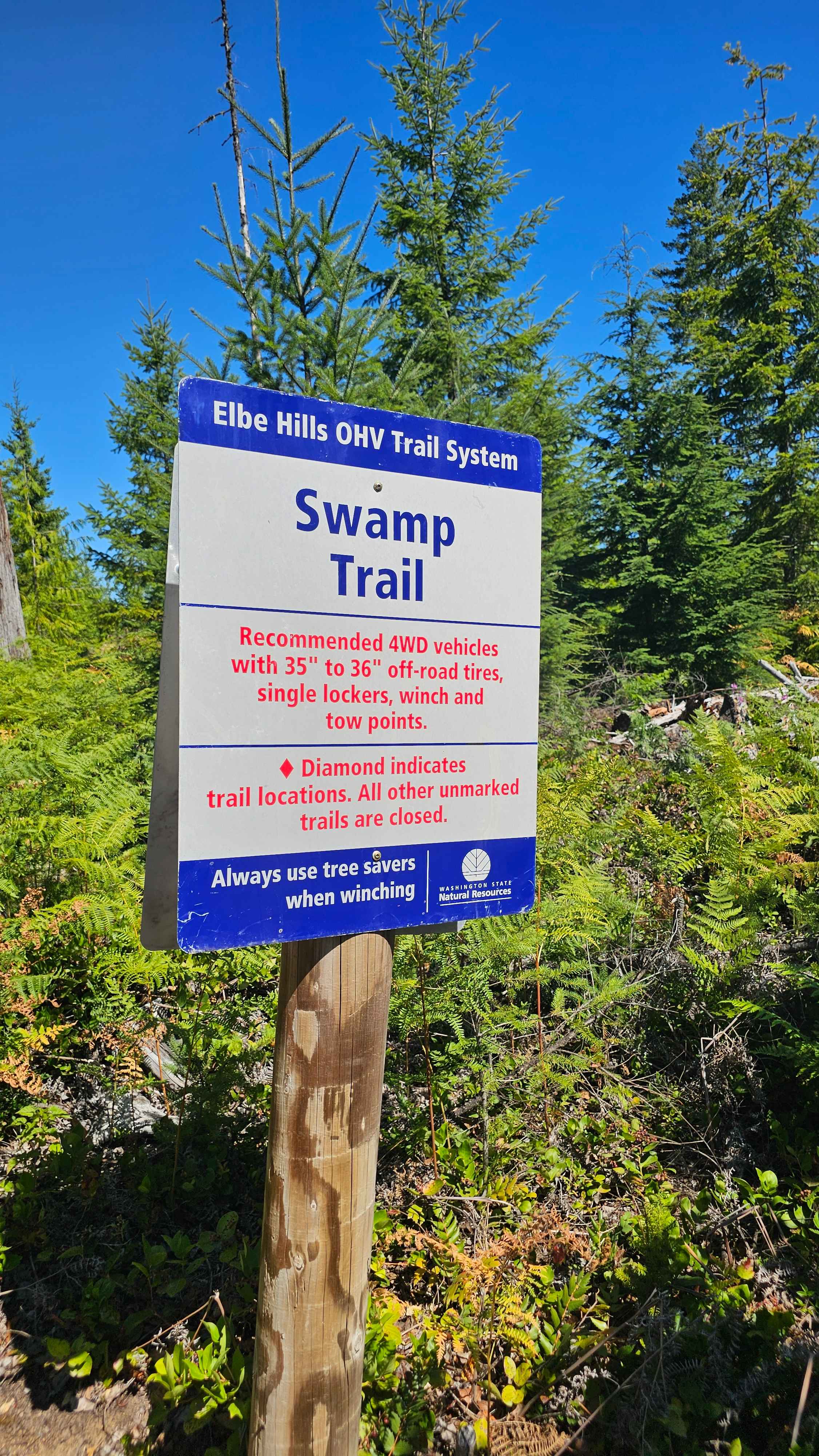 Swamp Trail