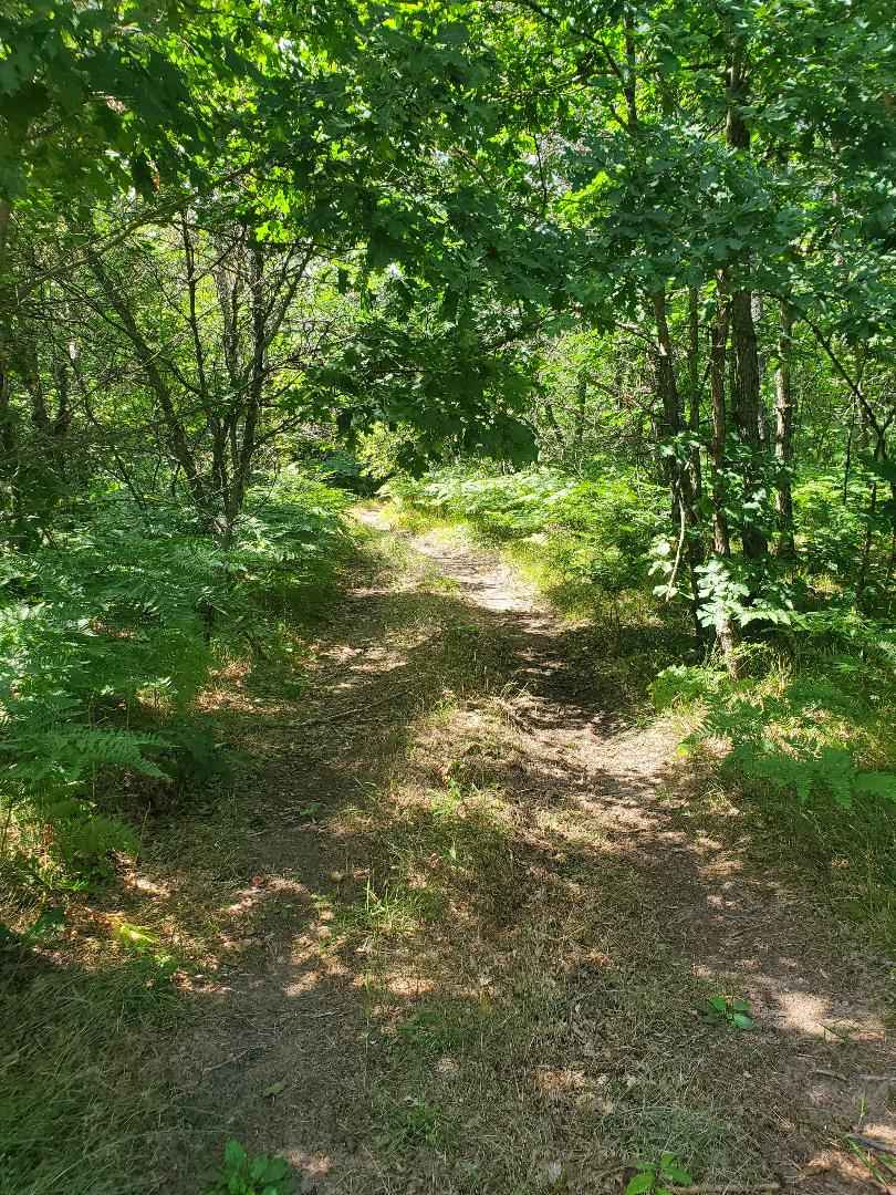 South Branch of Twin Creek Trail